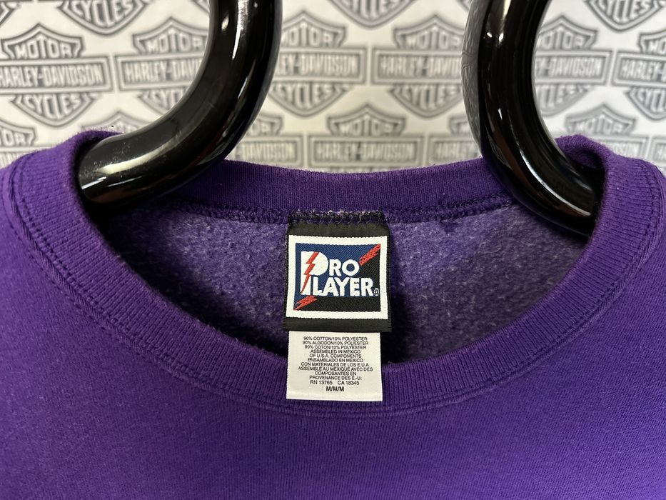 Vintage Minnesota Vikings Sweatshirt