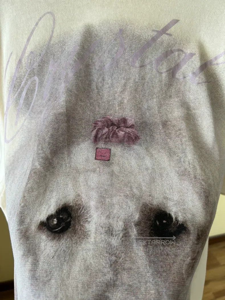 Acne Studios Acne Studios Dog print short-sleeve T-shirt, beige Size S / US 4 / IT 40 - 2 Thumbnail