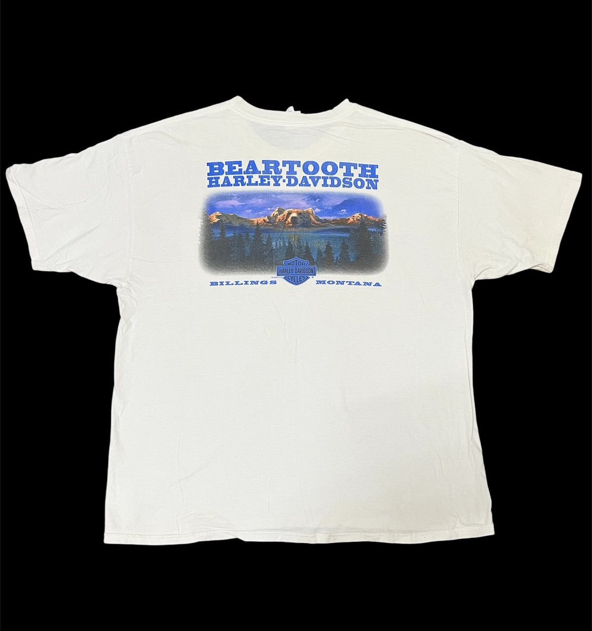 Harley Davidson Vintage 2000 Harley Davidson "Beartooth" Big Size T-Shirt Size US XXL / EU 58 / 5 - 1 Thumbnail