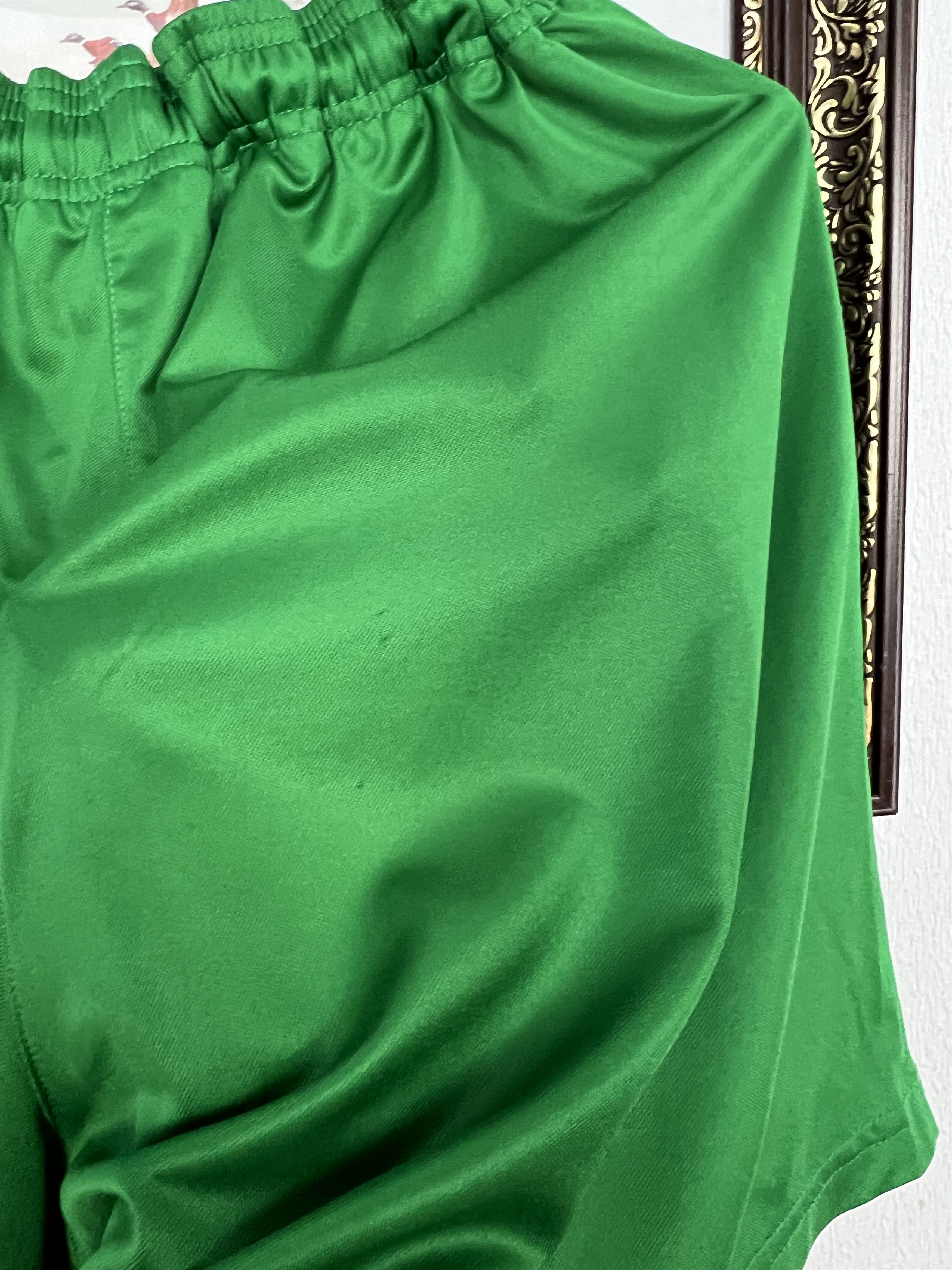 Nike Nike Dynamo Dresden Football Shorts Soccer Green Athletic L Size US 34 / EU 50 - 15 Thumbnail