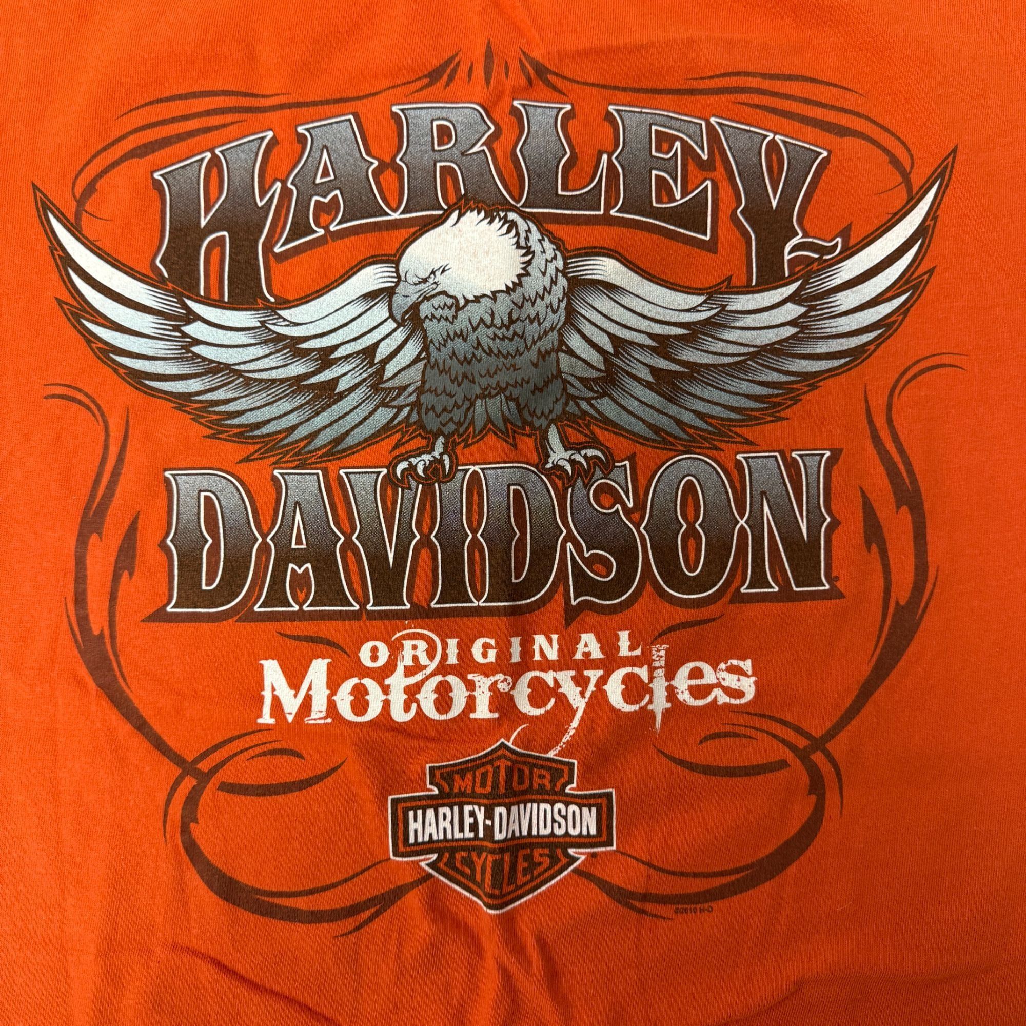 Harley Davidson Vtg Harley Davidson Motorcycle Biker Eagle RIO GRANDE Shirt Size US XL / EU 56 / 4 - 3 Thumbnail