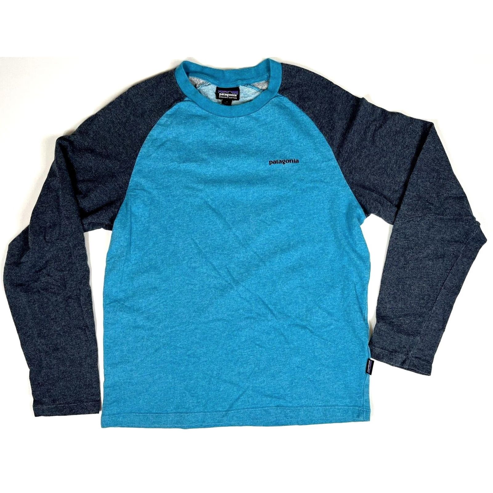 Patagonia Patagonia P-6 Logo Lightweight Crew Neck Sweatshirt Mens Sz S Blue Gray 2017 Outdoor Logo Double-Sided Organic Cotton Blend T-Shirt Style 39485 Size US S / EU 44-46 / 1 - 4 Thumbnail