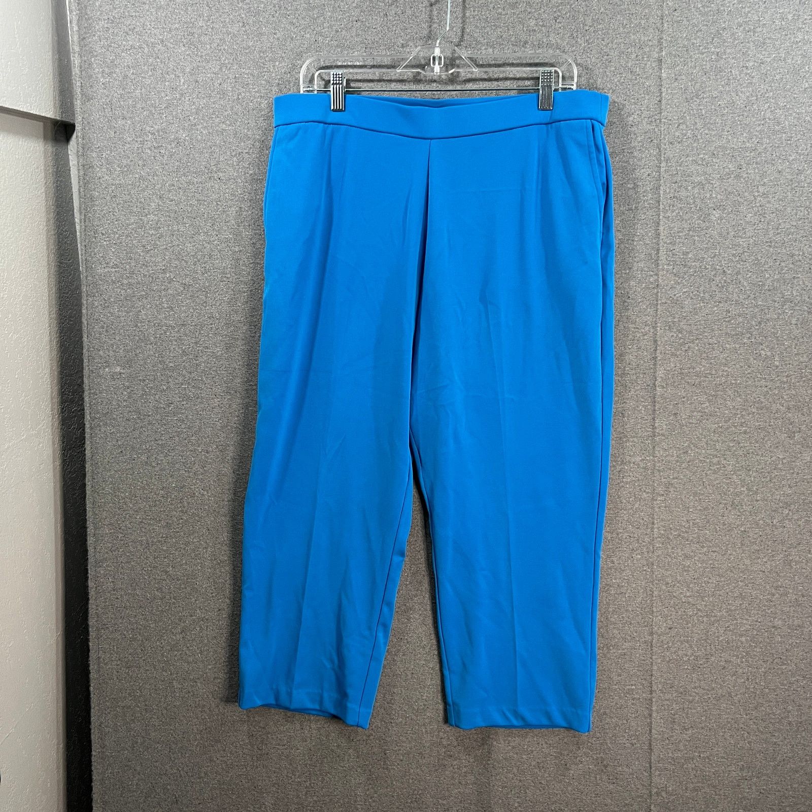Other Susan Graver Regular LK Fusion Pull-On Crop Pant Cabana Size 34" / US 12 / IT 48 - 1 Thumbnail