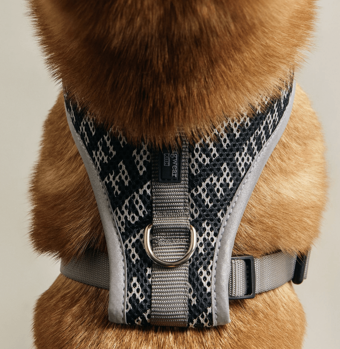 Kith (medium) Kith for wagwear Padded Harness - Black Size ONE SIZE - 6 Thumbnail