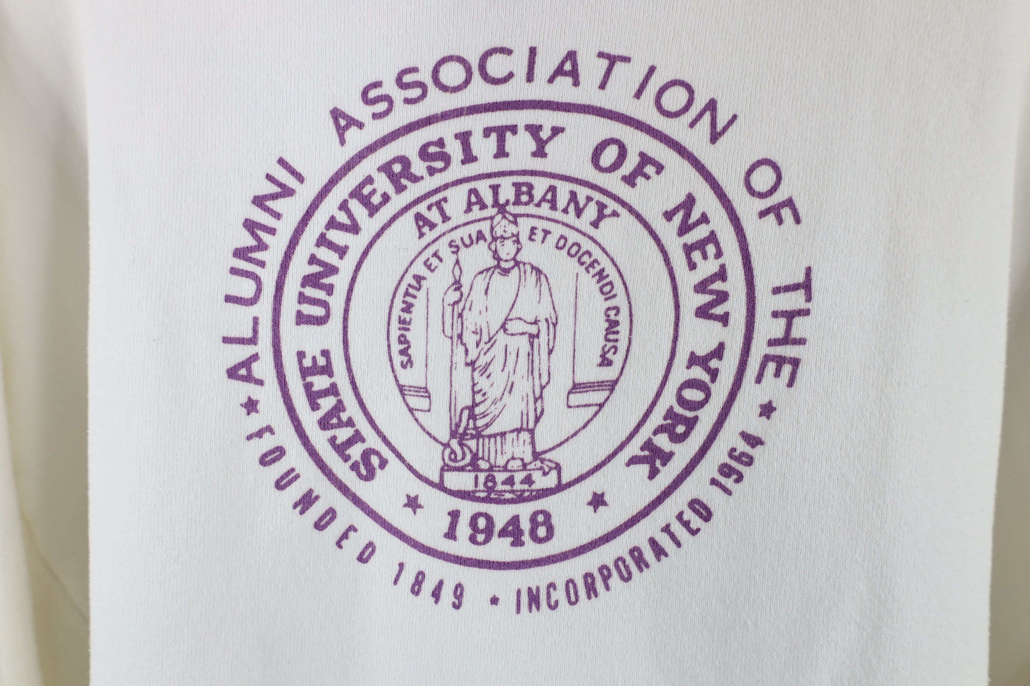 Vintage Vintage 80s 90s University at Albany Hoodie Sweatshirt USA Size XL / US 12-14 / IT 48-50 - 4 Thumbnail