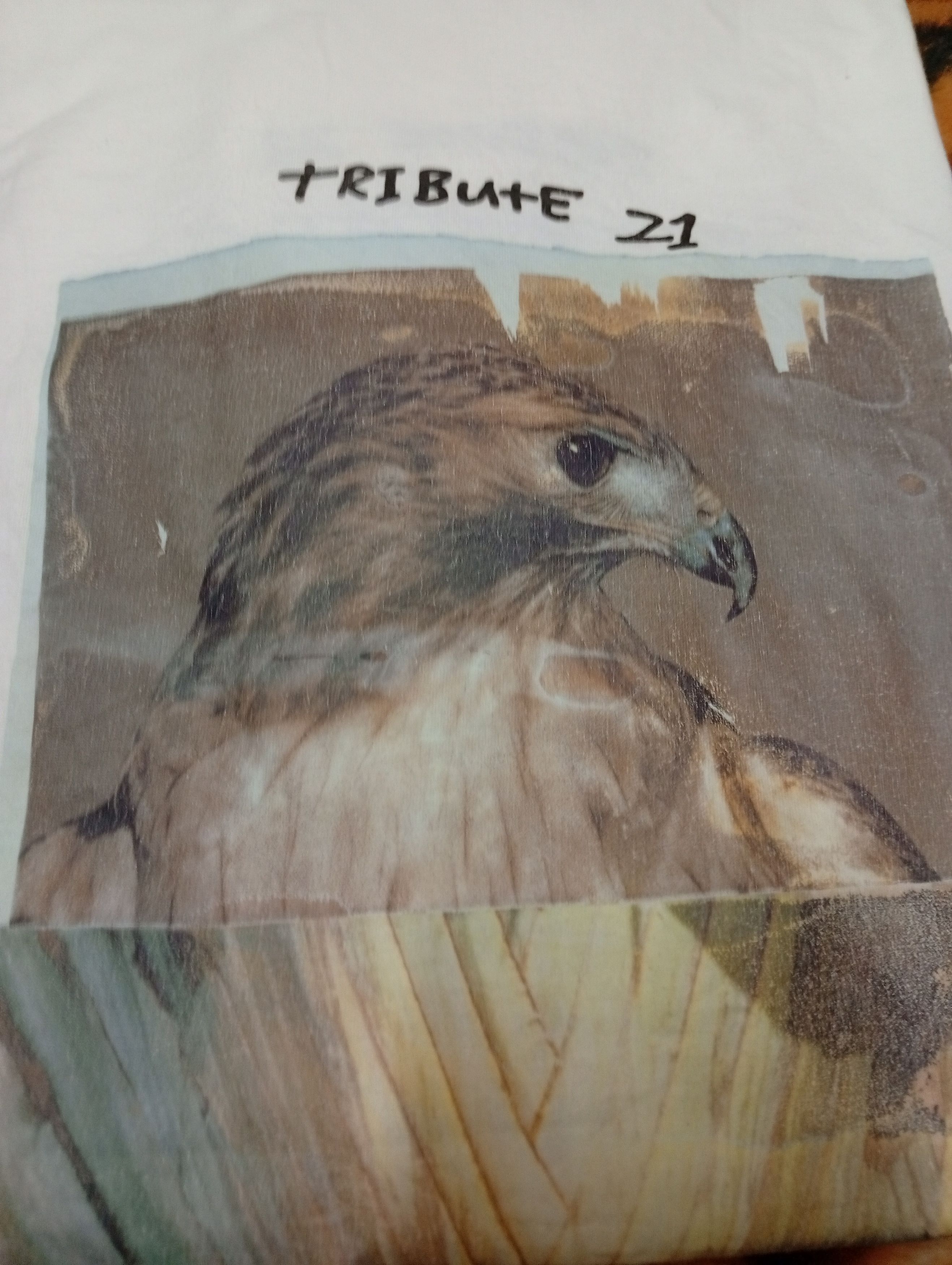 Vintage vintage Tribute 21 X Felissimo robert Size US XL / EU 56 / 4 - 10 Thumbnail