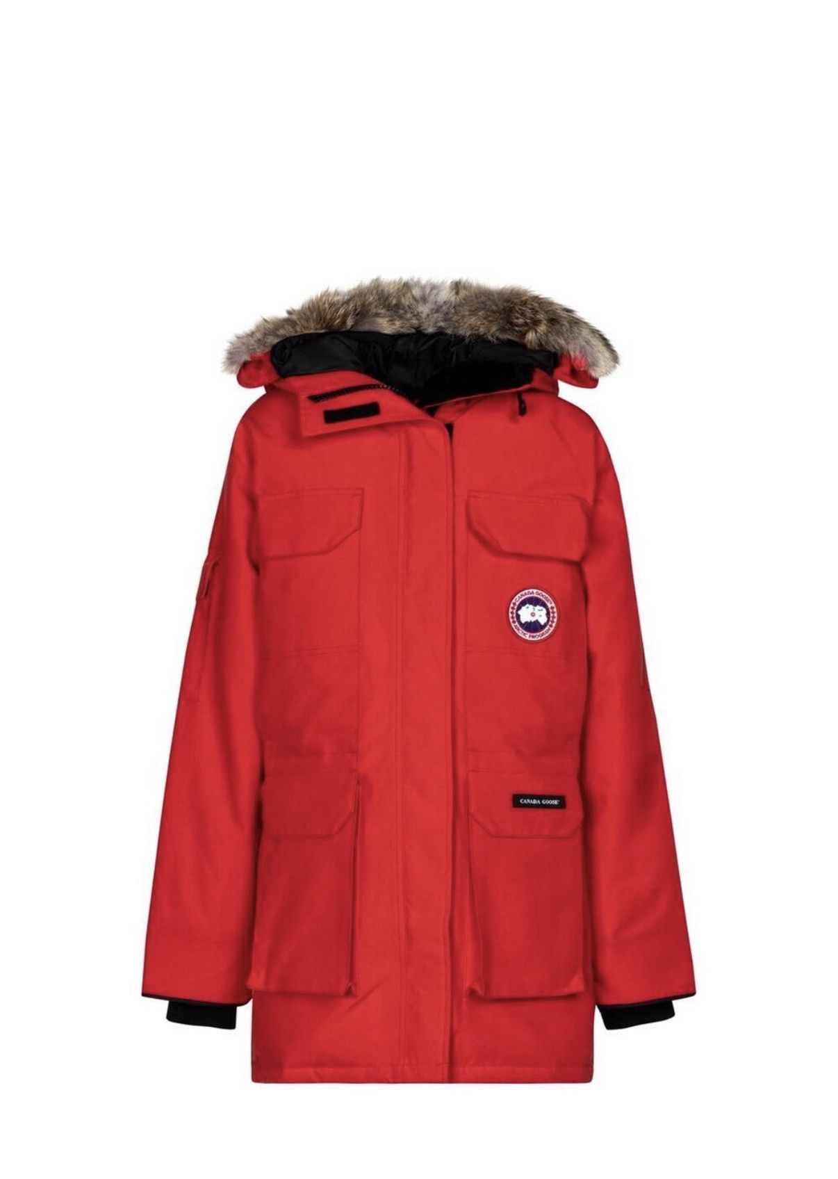 Canada Goose Canada Goose Expedition Parka Size L / US 10 / IT 46 - 3 Thumbnail