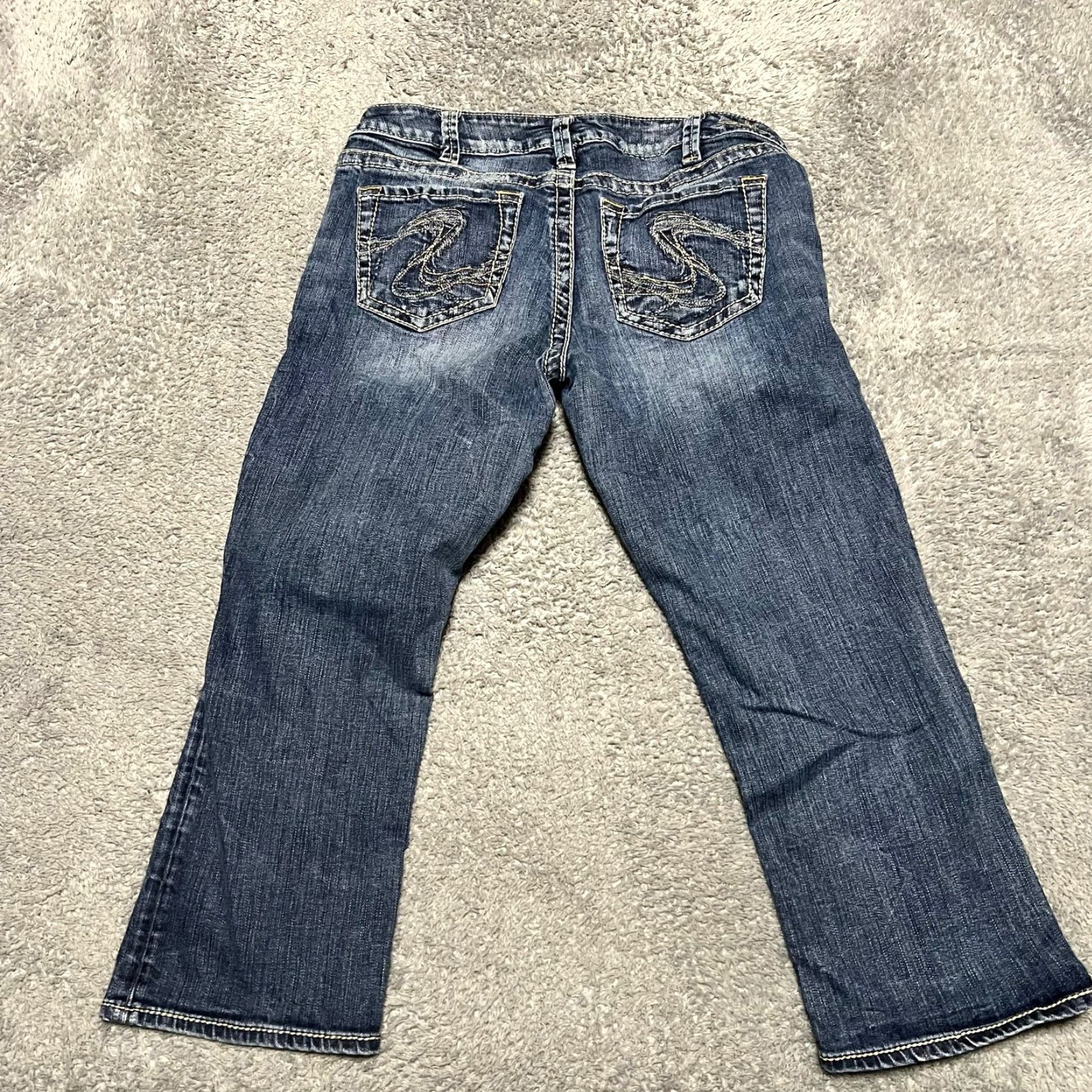 Silver Jeans Co. Silver Jeans Co. Capri Pants Womens 30 Aiko Denim Thick Stitch Blue 32x22 Regular Tapered? Size 30" / US 8 / IT 44 - 2 Thumbnail