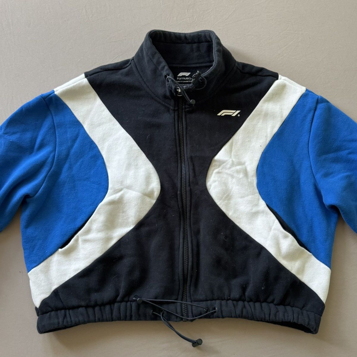 Pacsun Formula 1 x PacSun Colorblock Cropped Zip Up Sweatshirt Size M / US 6-8 / IT 42-44 - 2 Thumbnail