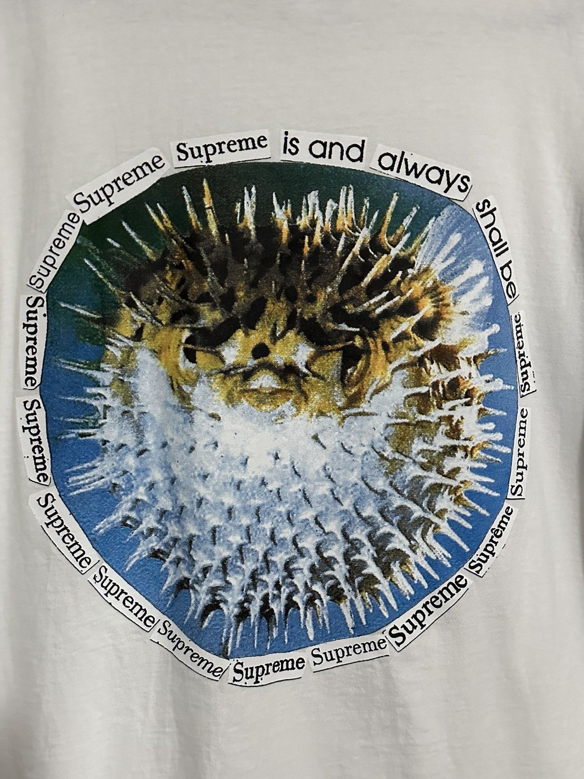 Supreme Supreme Blowfish Tee Size US M / EU 48-50 / 2 - 2 Thumbnail