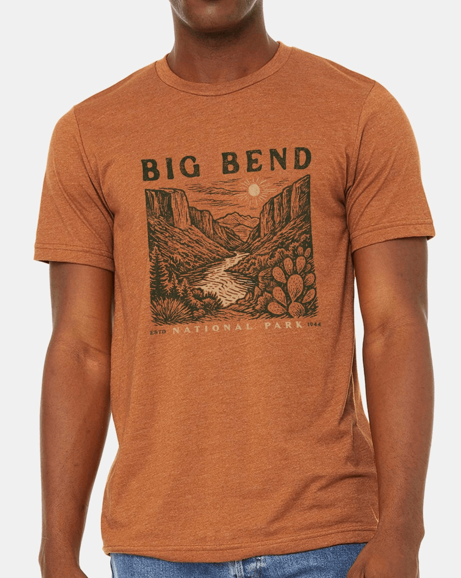 Designer × Vintage Men's Big Bend National Park T-Shirt Size US M / EU 48-50 / 2 - 3 Thumbnail