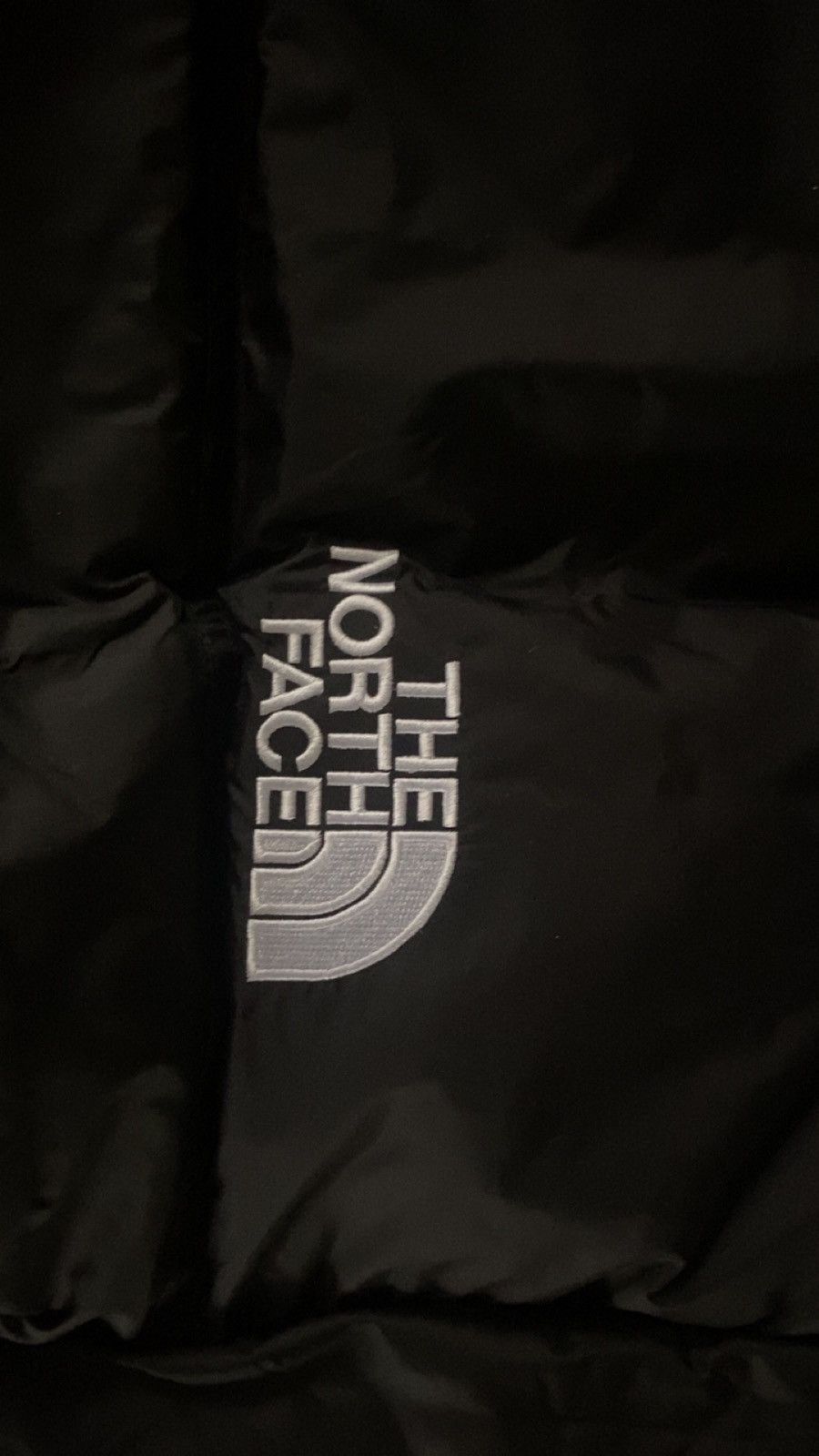 The North Face The north face vest Size US M / EU 48-50 / 2 - 6 Thumbnail