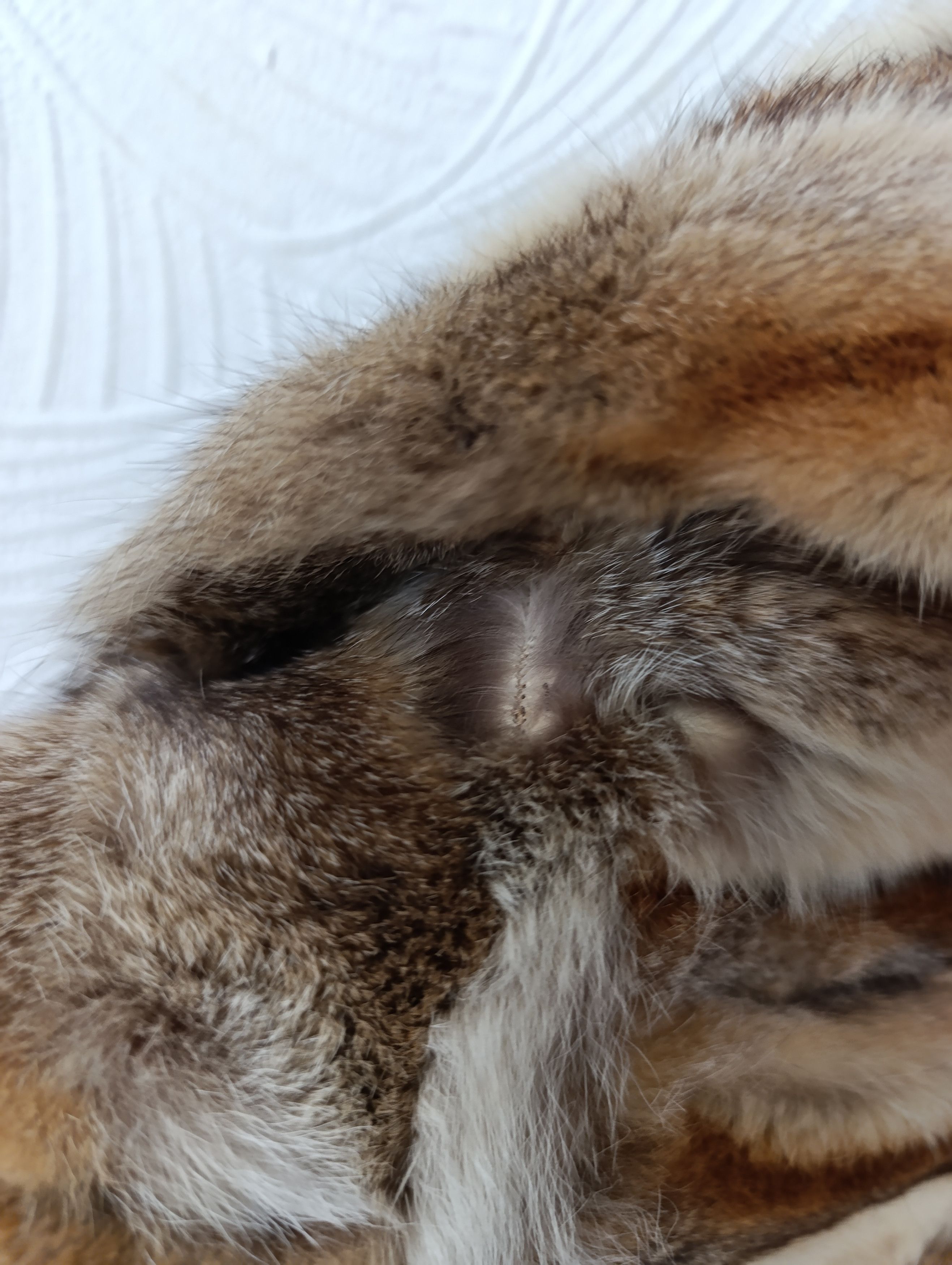 Other WOMENS FOX FUR COAT JACKET Size M / US 6-8 / IT 42-44 - 17 Thumbnail