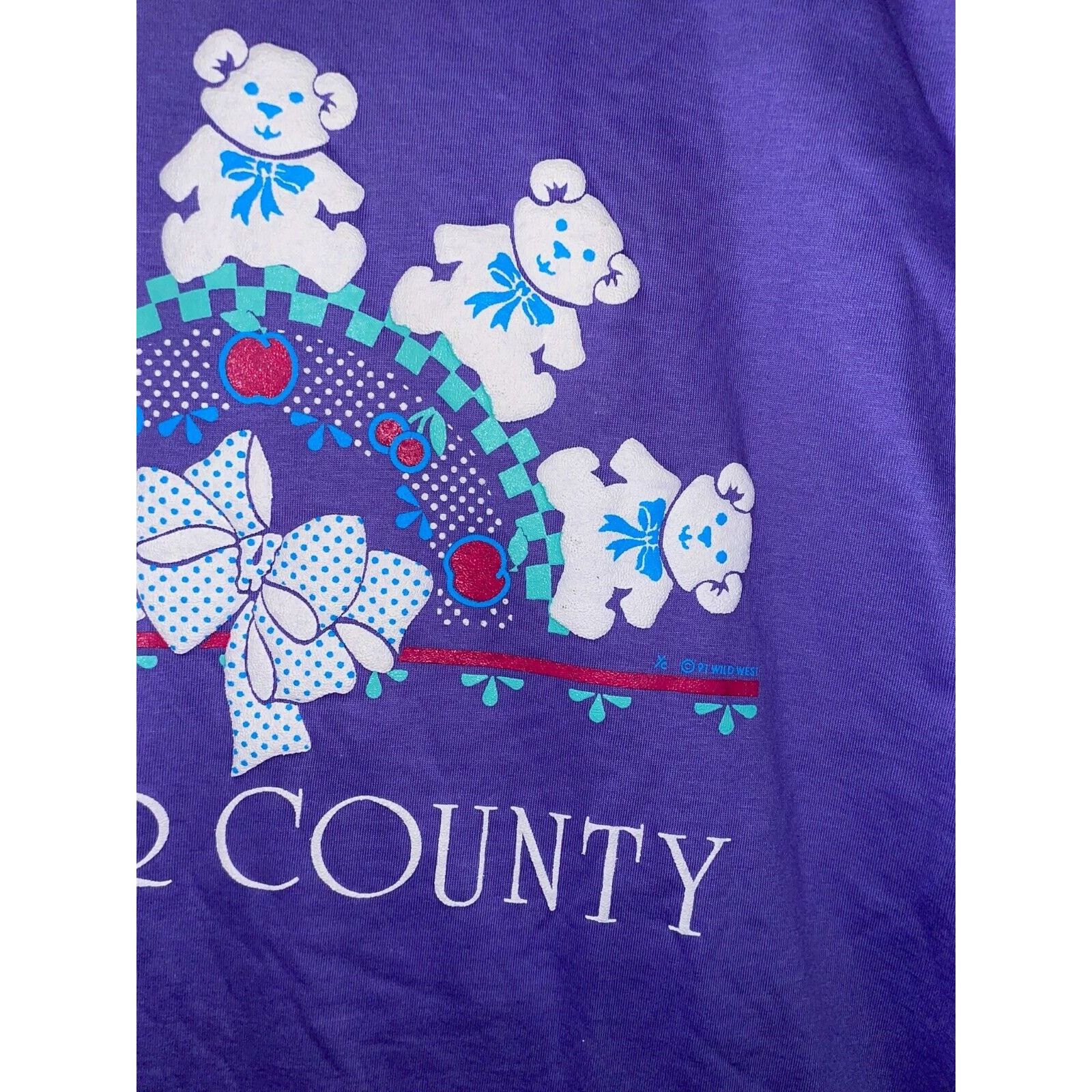 Jerzees Vintage Door County Shirt Teddy bear Purple Tee VTG 90s L Size US L / EU 52-54 / 3 - 5 Thumbnail