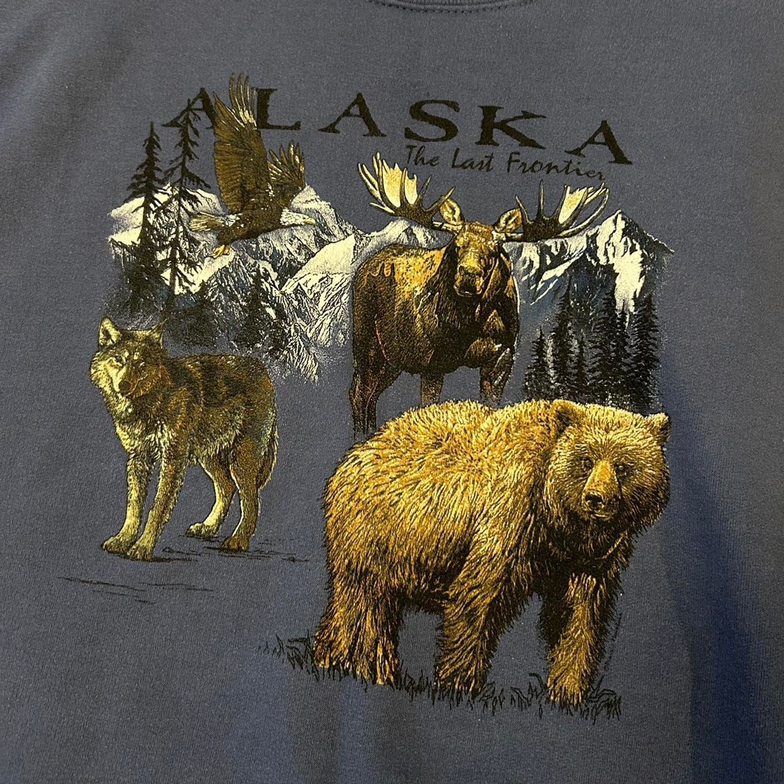 Jerzees Rare vintage alaska sweatshirt Size US M / EU 48-50 / 2 - 3 Thumbnail