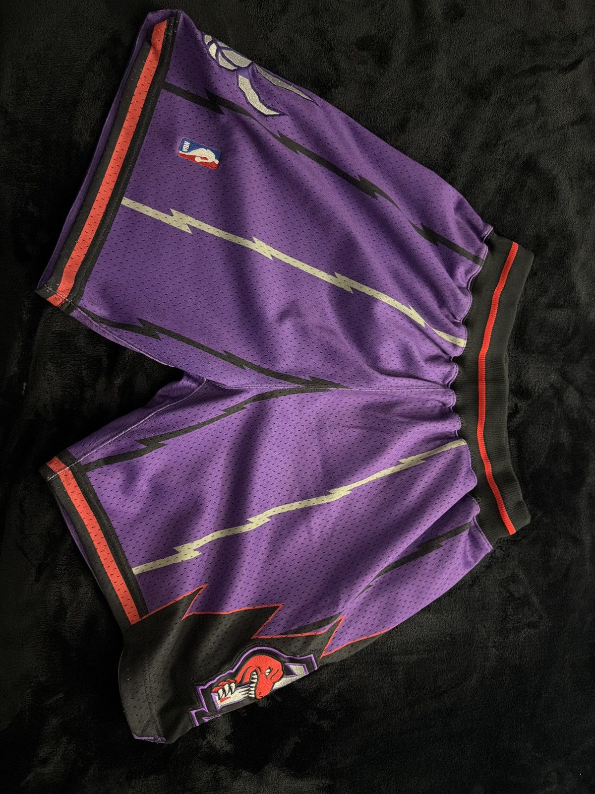Mitchell & Ness Mitchell & Ness Hardwood Classic Raptor Shorts Size US 44 / EU 60 - 4 Thumbnail