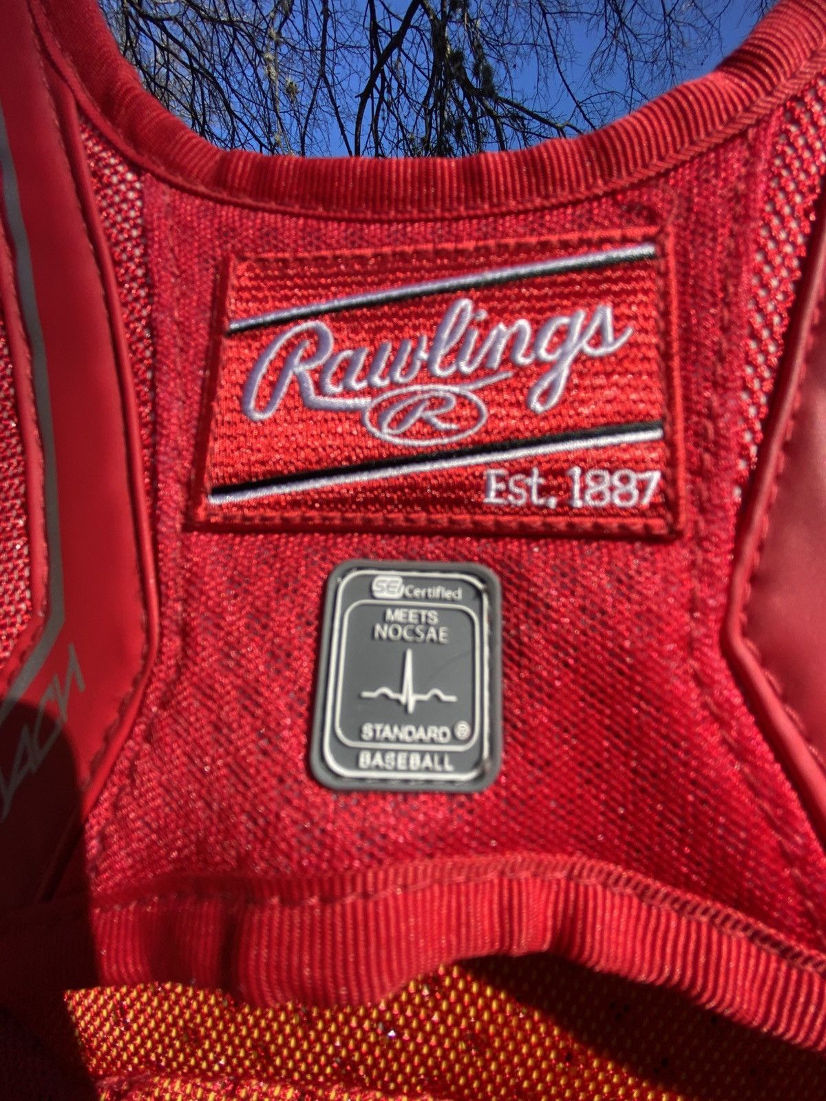 Other Supreme X Rawlings Catchers Chest Protector Red ((New) Size ONE SIZE - 6 Thumbnail