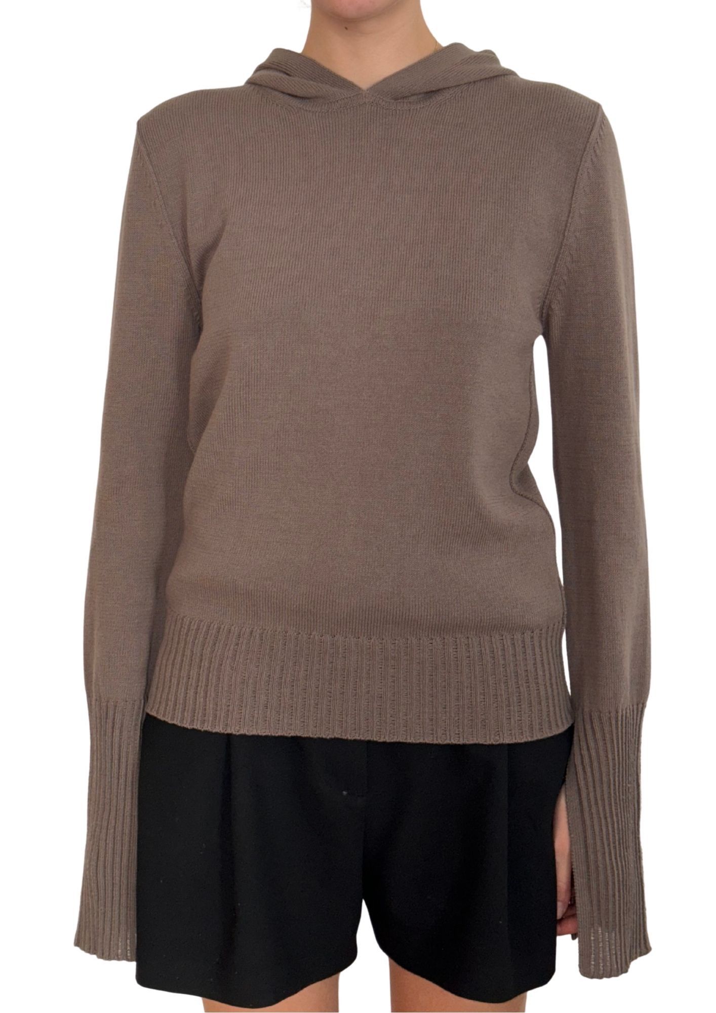 Rick Owens Rick Owens Hoodie Size S / US 4 / IT 40 - 1 Thumbnail