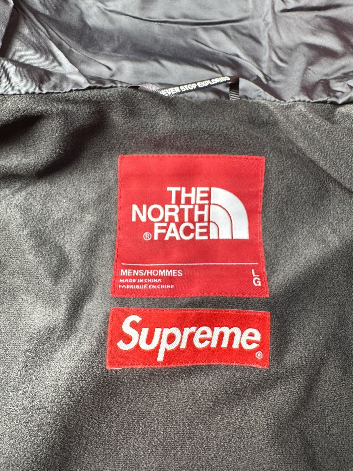 Supreme × The North Face Supreme tnf mountain light jacket Size US L / EU 52-54 / 3 - 7 Thumbnail