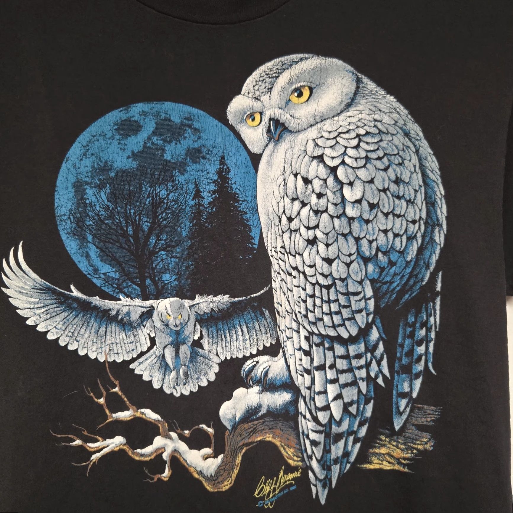 Vintage VINTAGE Single T-Shirt Nature Owl 90s Black XL Mens Short Sleeve | KY Snowy Cave Horse Cave KY Size US XL / EU 56 / 4 - 4 Thumbnail