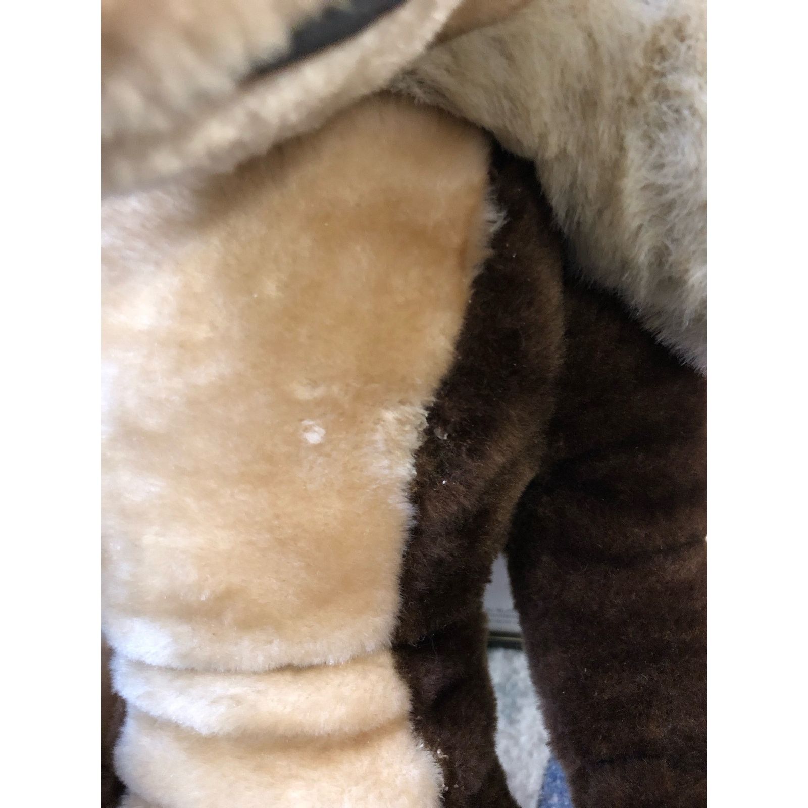 Gildan Wile E Coyote 32 inch Ace Plush 1996 NWT Posable Looney Size 26 - 4 Thumbnail