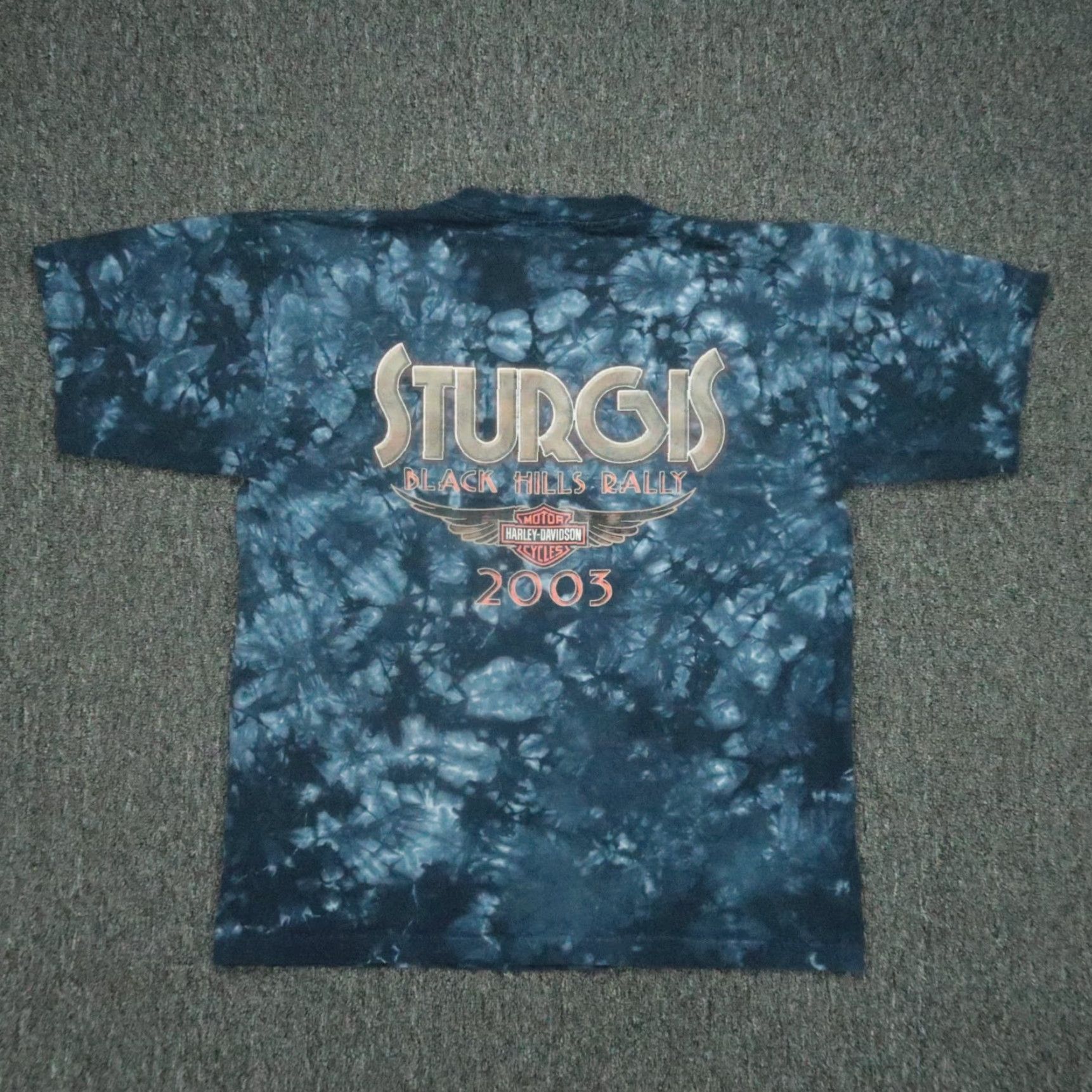 Harley Davidson VINTAGE Harley-Davidson Shirt Men Medium Blue Sturgis Black Hills Rally 2003 Shirt Mens M Blue Harley-Davidson Vintage Sturgis 2003 Size US M / EU 48-50 / 2 - 5 Thumbnail