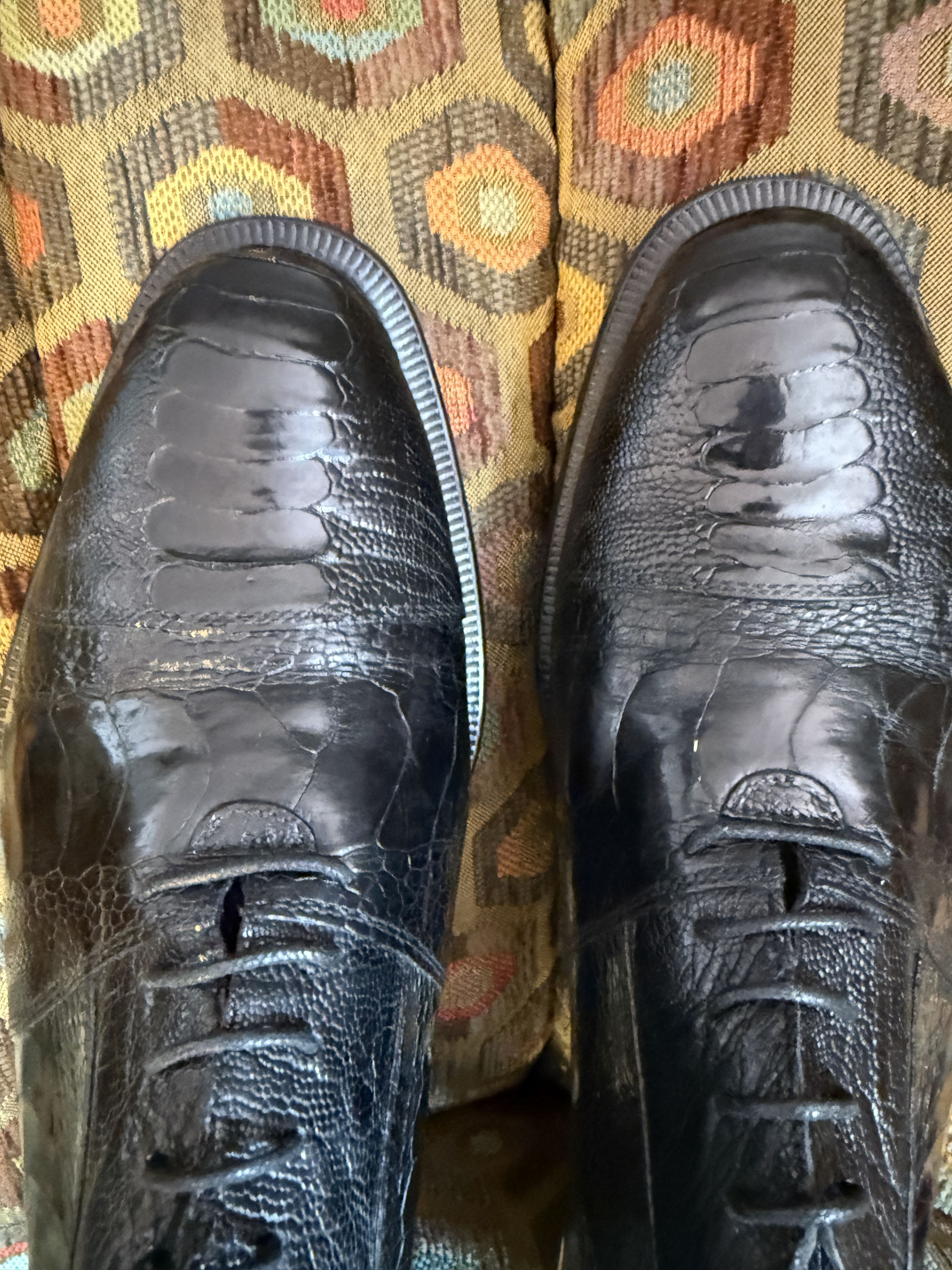 David Eden SALOMON ostrich leg cap-toe oxfords in black+box, bag, trees Size US 9.5 / EU 42-43 - 3 Thumbnail