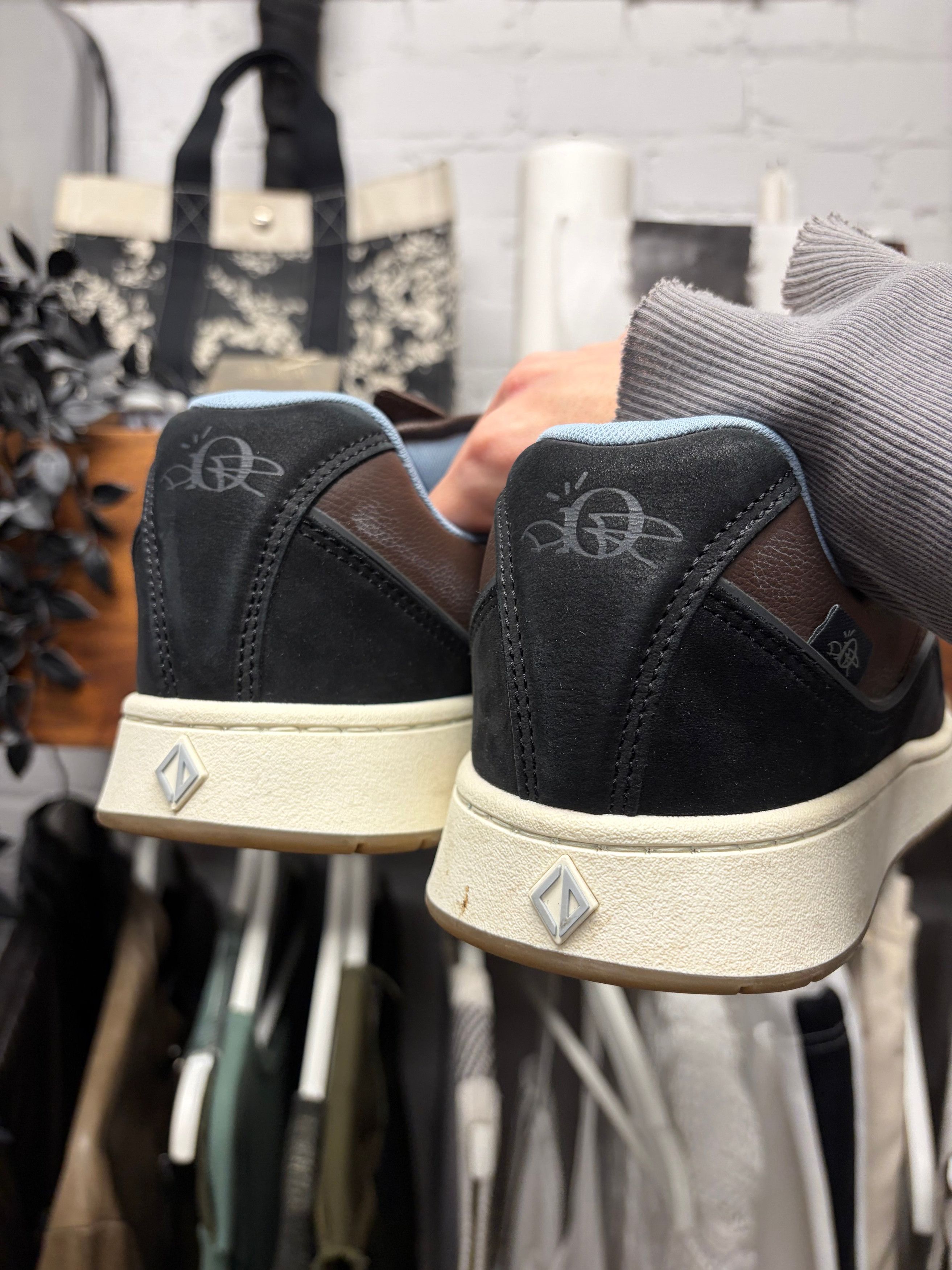 calathea weiße blätter Korbmarante Calathea Fusion White Höhe 35 Zimmerpflanze Ø14cm main image 1