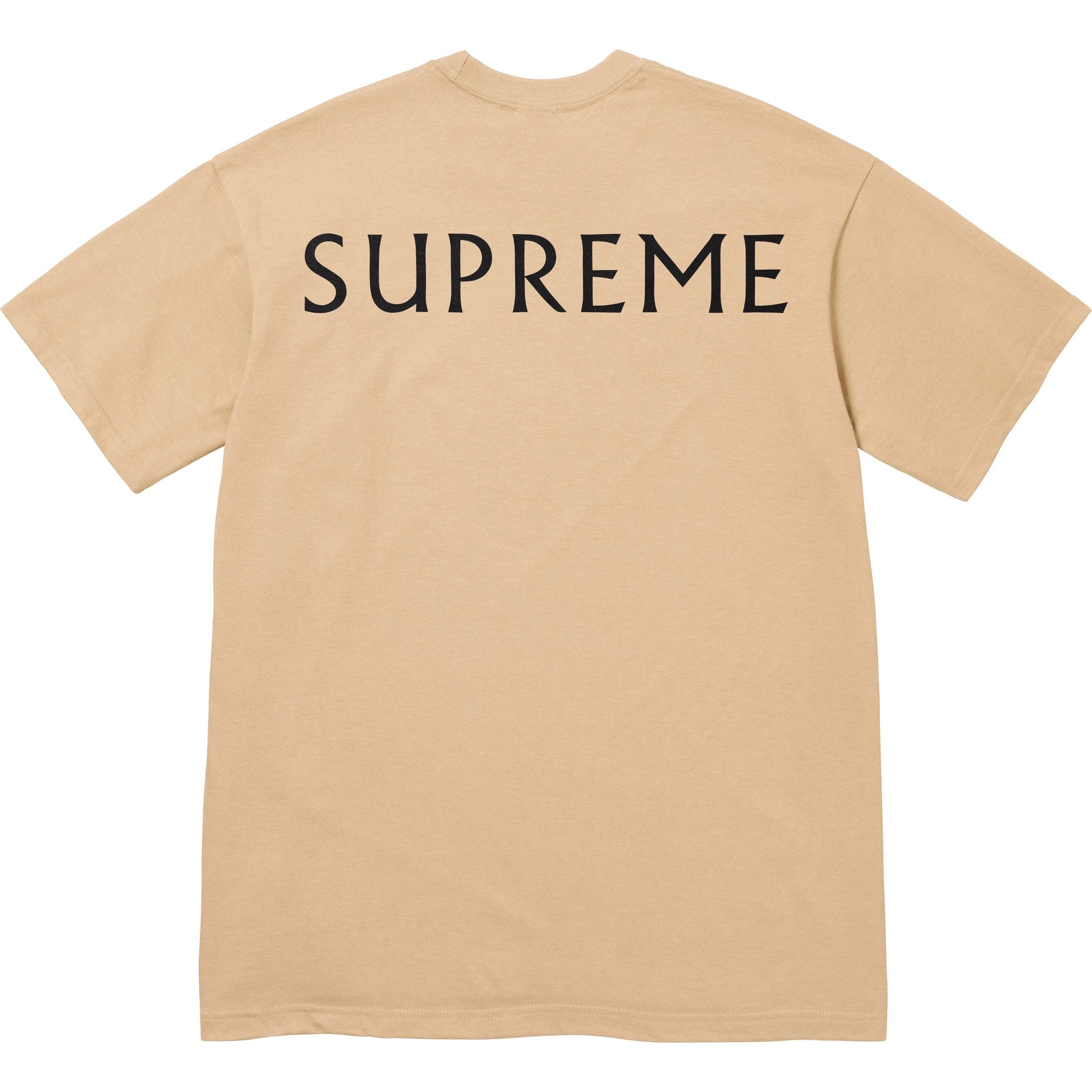 Damien Hirst × Supreme supreme damien hirst tee (khaki) L Size US L / EU 52-54 / 3 - 2 Thumbnail
