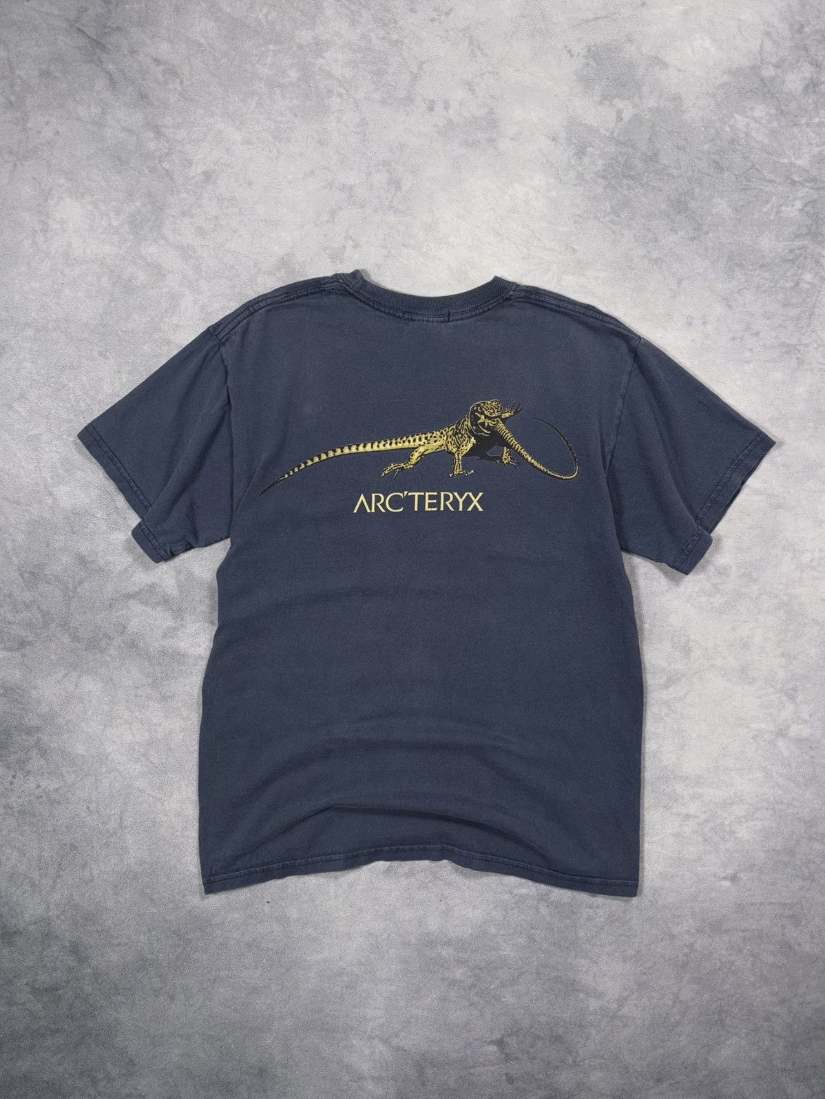 Arc'teryx × Vintage 1999 Rare Arcteryx Lizard T-Shirt Size M | Grailed