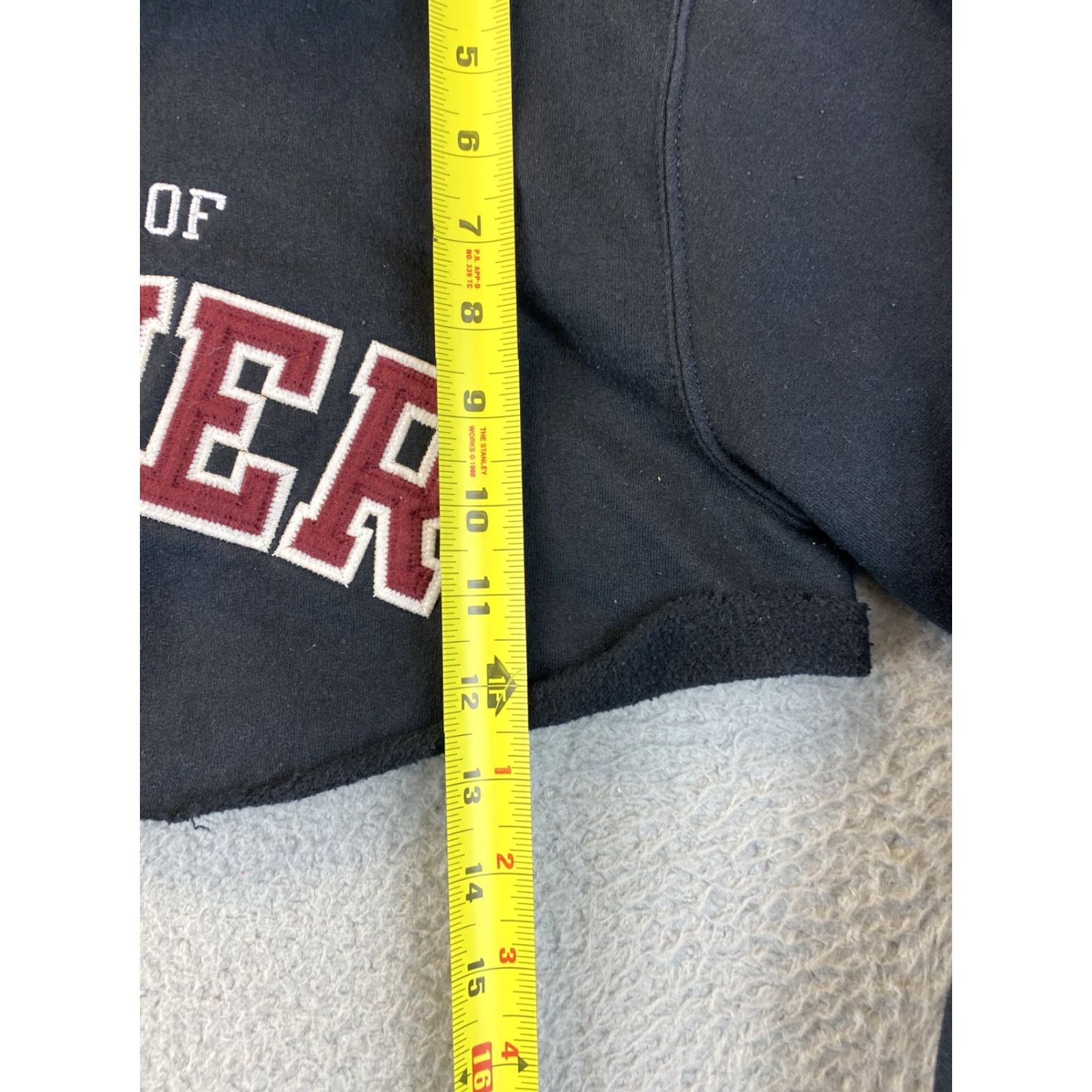 Champion Champion Hoodie Women Cropped Denver University Black S Logo Sweatshirt Modern Athletic Activewear S Womens Size S / US 4 / IT 40 - 6 Thumbnail