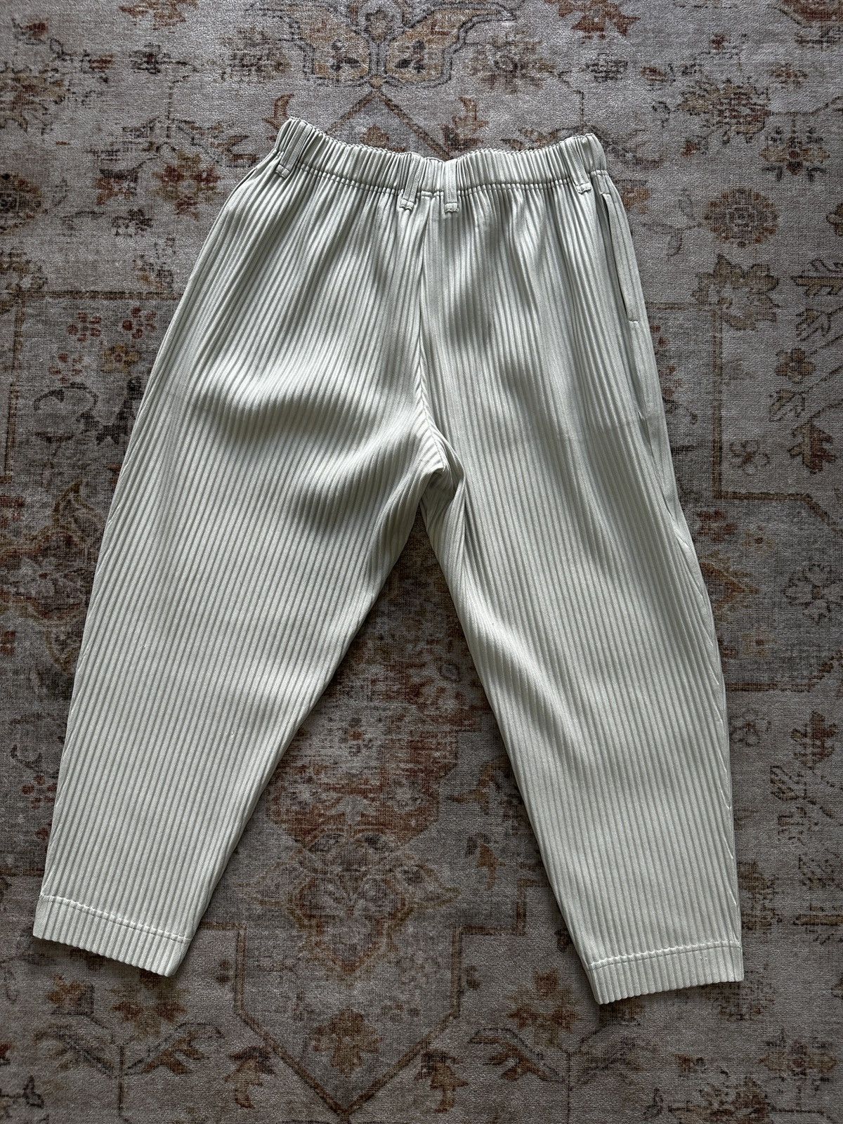 Homme Plisse Issey Miyake Homme Plisse Issey Miyake pants Size US 36 / EU 52 - 4 Thumbnail