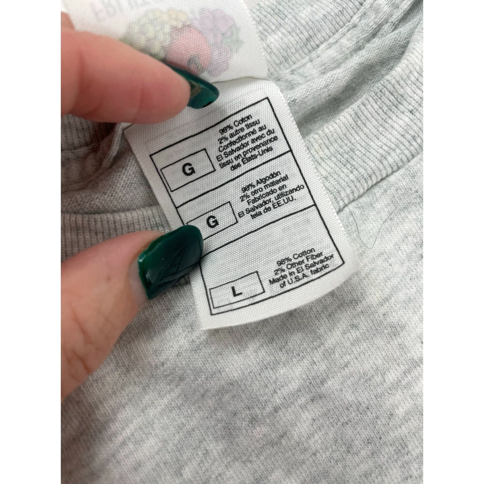Fruit Of The Loom Fruit of the Loom T-Shirt Mens Size L Gray Heather I Survived Hurricane Charley Shirt Mens L Gray Heather Size US L / EU 52-54 / 3 - 7 Thumbnail