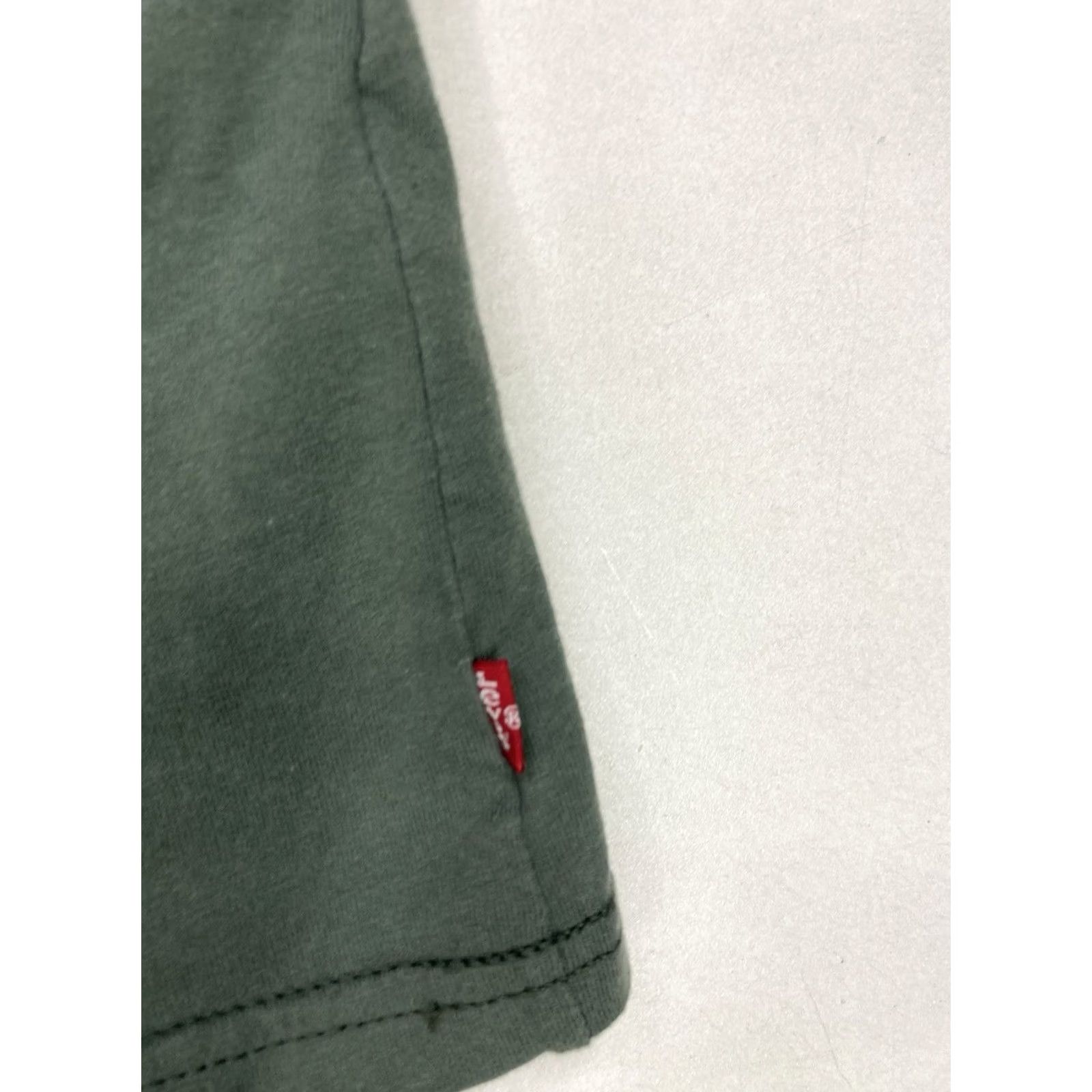 Levi's VINTAGE Levi’s Outdoor Mountain Graphic T-shirt Men XXL Green Short Sleeve Size US XXL / EU 58 / 5 - 3 Thumbnail