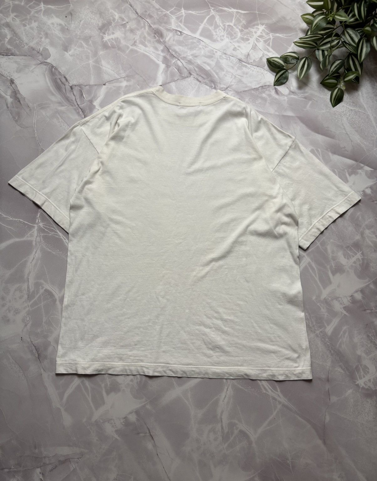 Vintage Rare VTG Linnaeus Methodus Plantarum Tee Lotta Dale Science Size US L / EU 52-54 / 3 - 13 Thumbnail