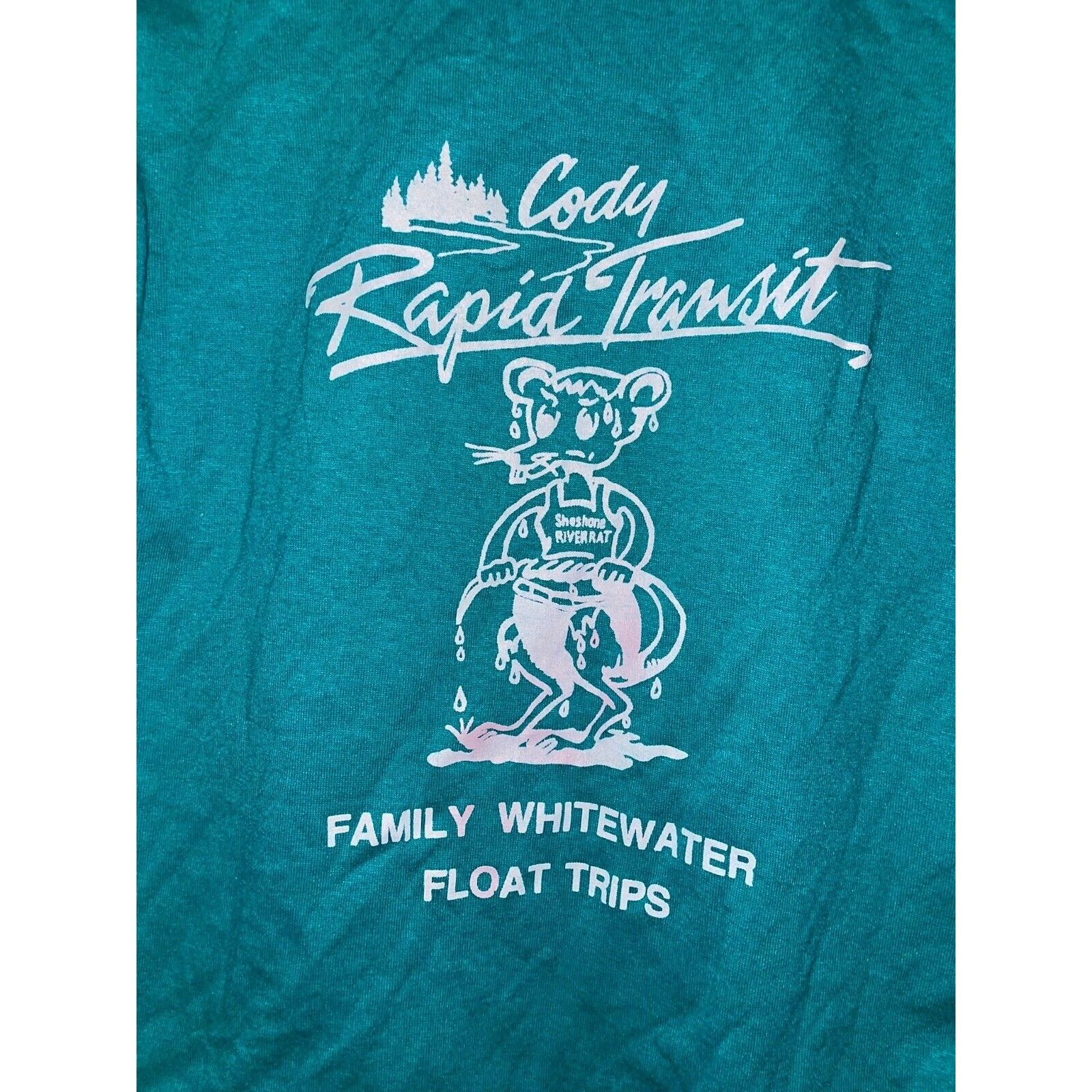 Jerzees Vintage Native American Shirt Test Print Tee Teal 80s VTG M Size US M / EU 48-50 / 2 - 11 Thumbnail