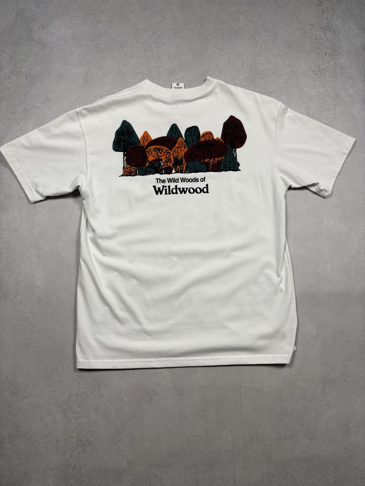 Nike ACG Nike ACG The Wild Woods of Wildwood Graphic White T-Shirt M Size US M / EU 48-50 / 2 - 1 Thumbnail
