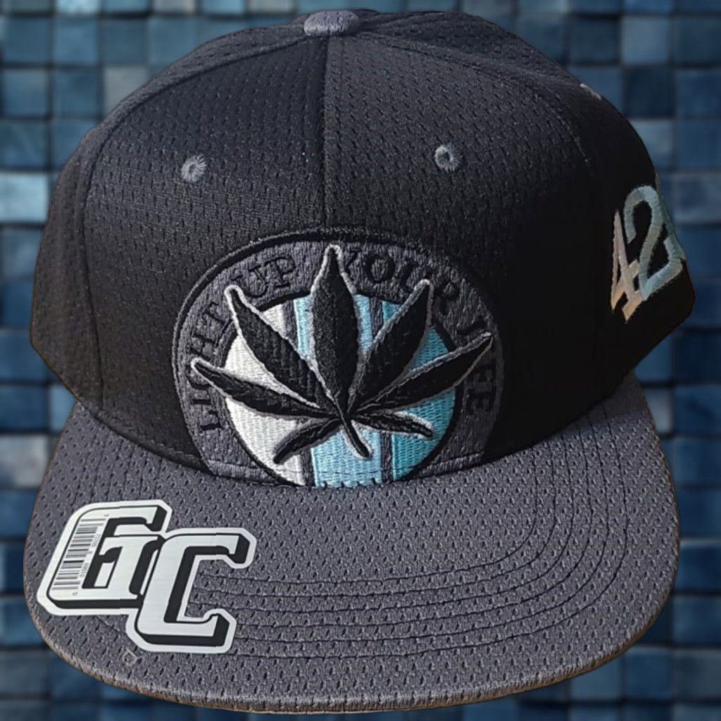Alife MARIJUANA LEAF 420 LIGHT UP YOUR LIFE SNAPBACK BASEBALL CAP ( BLACK & GRAY ) Size ONE SIZE - 1 Thumbnail