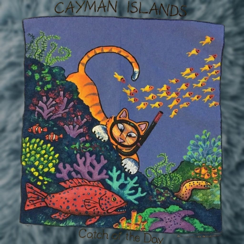 Vintage Vtg 90s Cayman Islands Faded Scuba Cat Shirt M L Funny Art Animal Beach Grunge Size US M / EU 48-50 / 2 - 1 Thumbnail