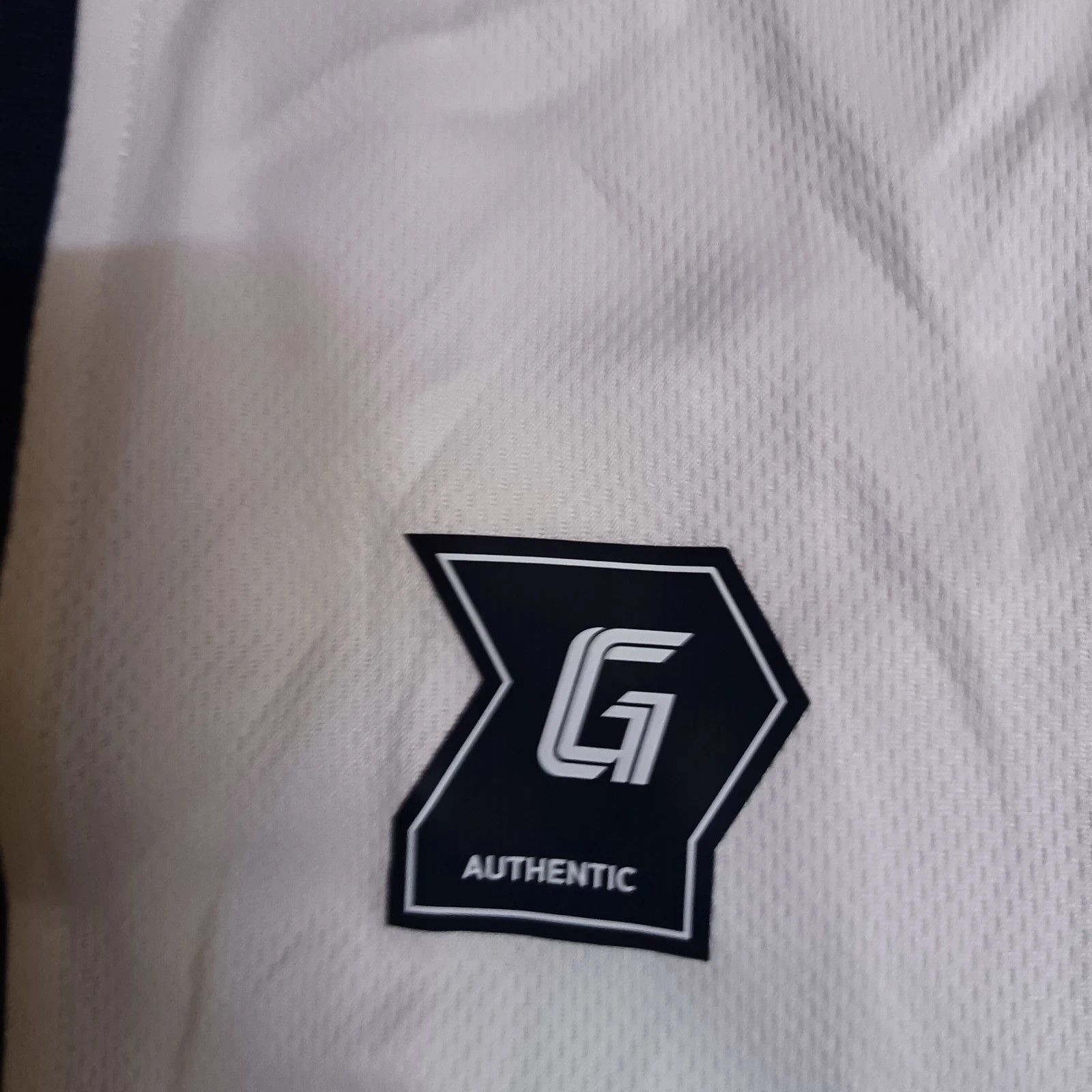 MLB Busan Lotte Giants KBO Korean Baseball Jersey Size US XL / EU 56 / 4 - 6 Thumbnail