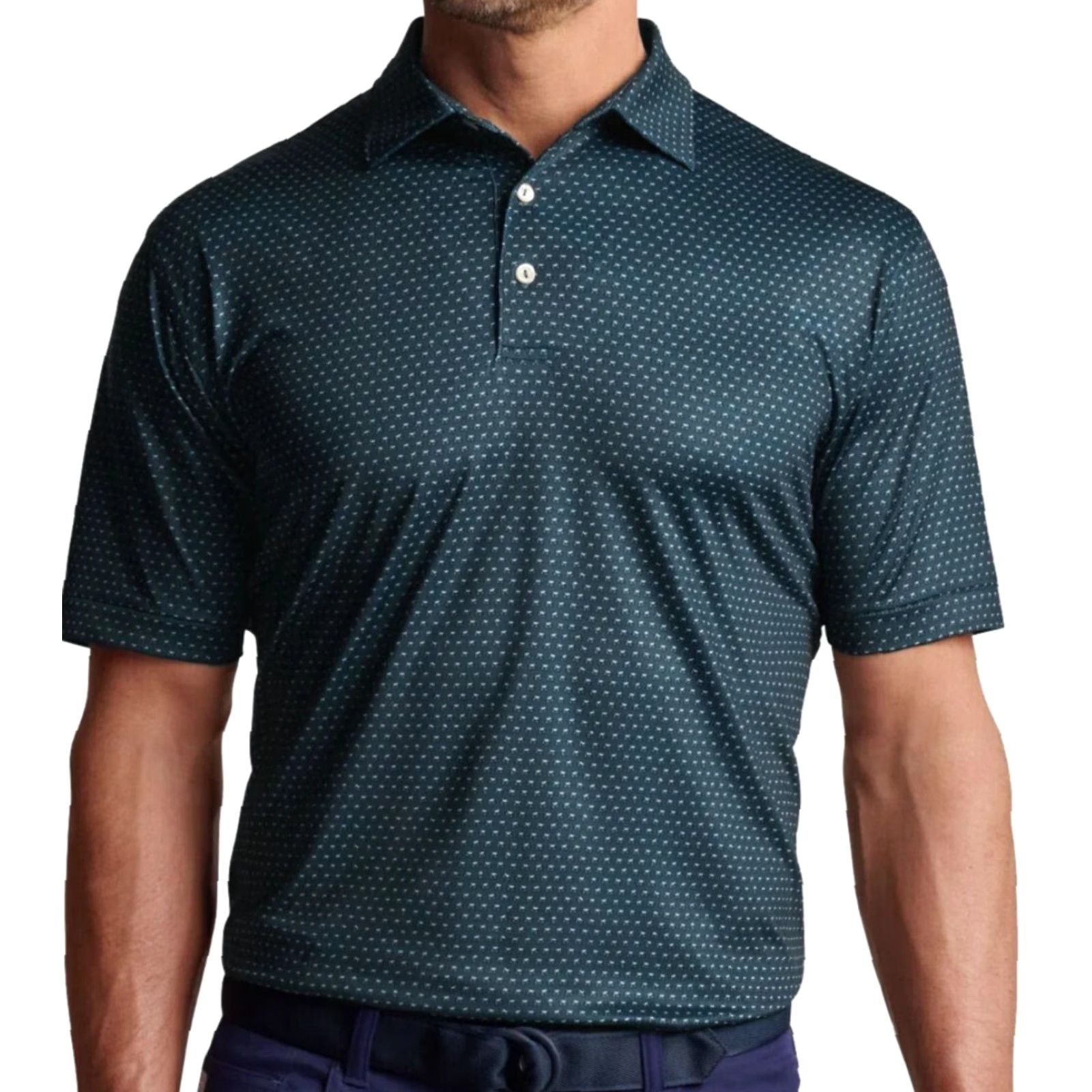 Peter Millar Peter Millar Summer Comfort Polo Shirt Men’s L Green Night Pint Size L Polo Size US L / EU 52-54 / 3 - 2 Thumbnail