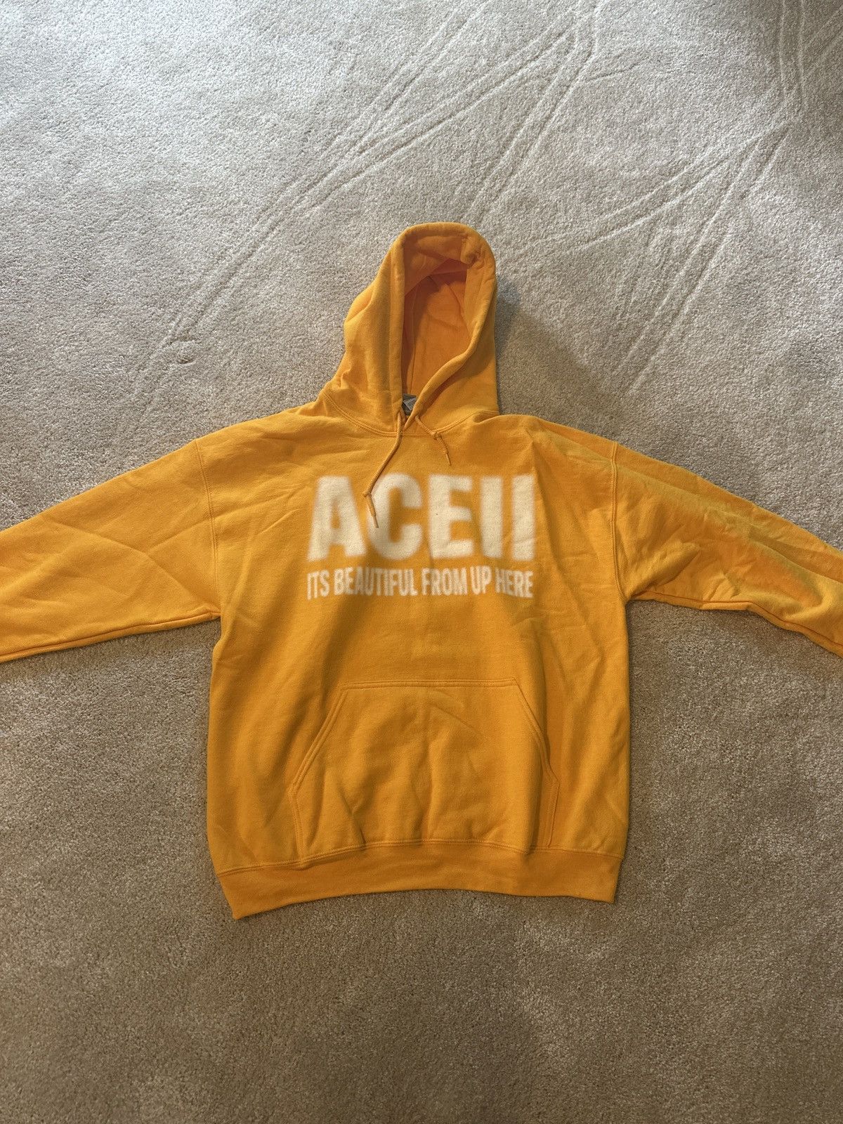 Drain Gang × Haunted Mound Aceii Shed Theory Its Beautiful From Up Here Hoodie Size US L / EU 52-54 / 3 - 2 Thumbnail