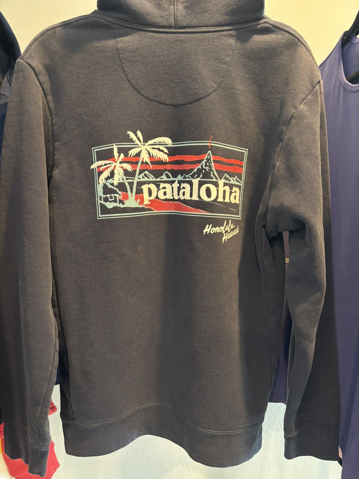 Patagonia Patagonia “Pataloha” Honolulu Hawaii 🏝️ Exclusive Hoodie Size US S / EU 44-46 / 1 - 1 Thumbnail