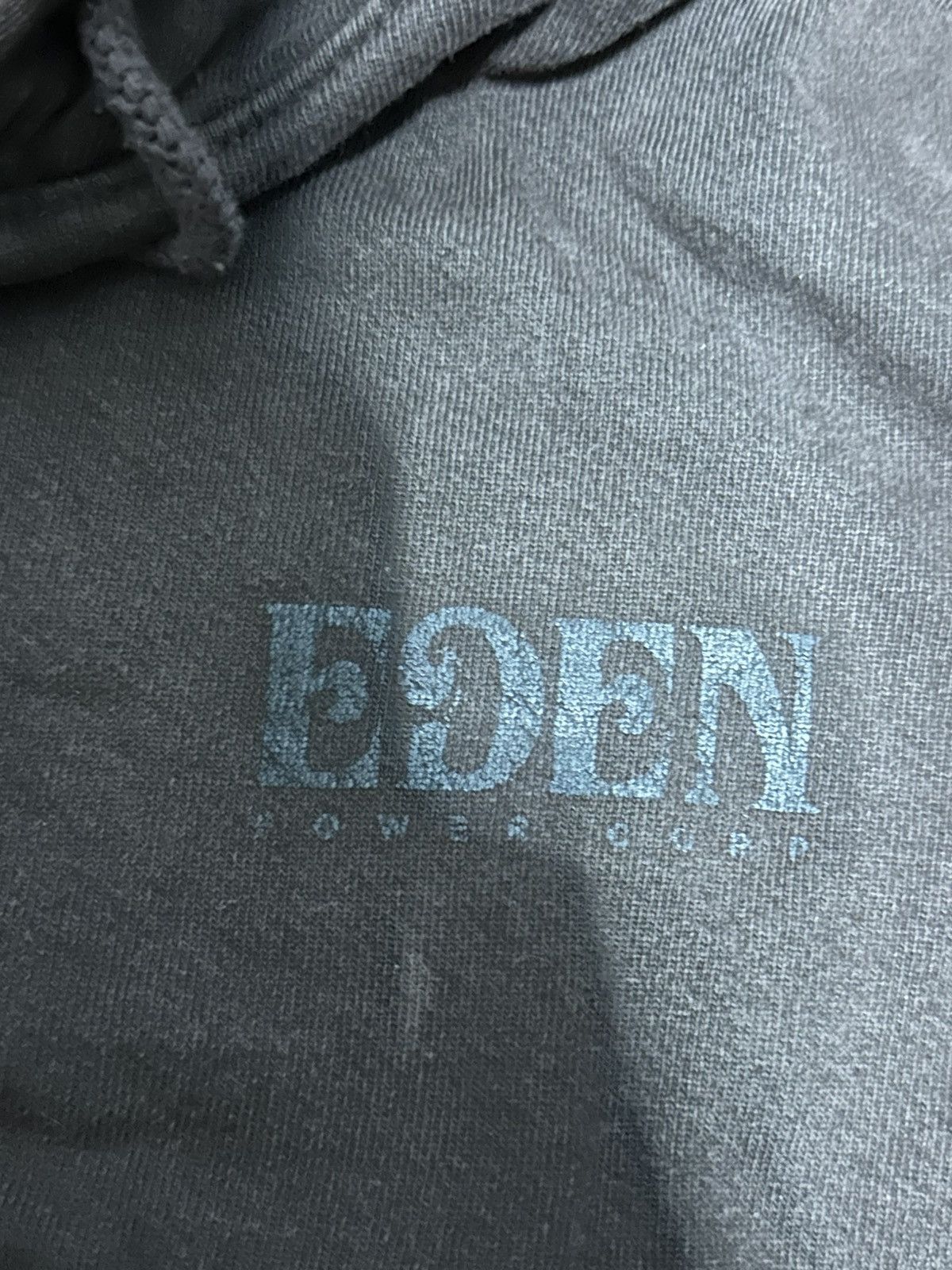 EDEN Power Corp EDEN Power Corp logo Hoodie Size US M / EU 48-50 / 2 - 8 Thumbnail