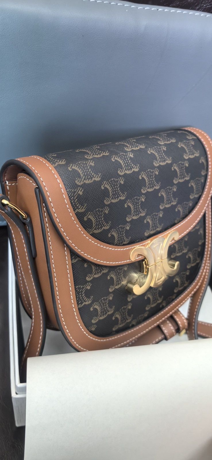 Celine Classique Triomphe Bag in Triomphe Canvas and Calfskin Size ONE SIZE - 5 Thumbnail