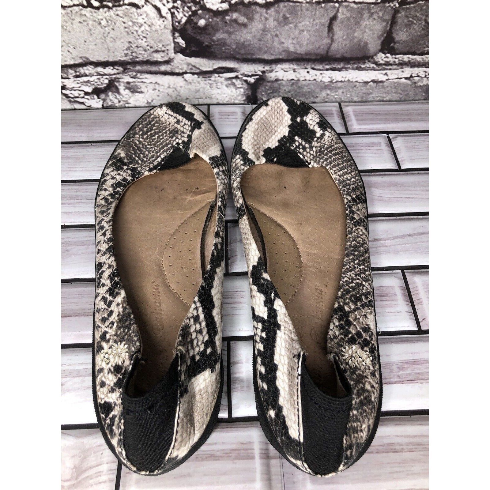 Tommy Bahama Tommy Bahama Odesa Ivory Black Leather Snake Skin Ballet Fla Size US 8 / IT 38 - 4 Thumbnail