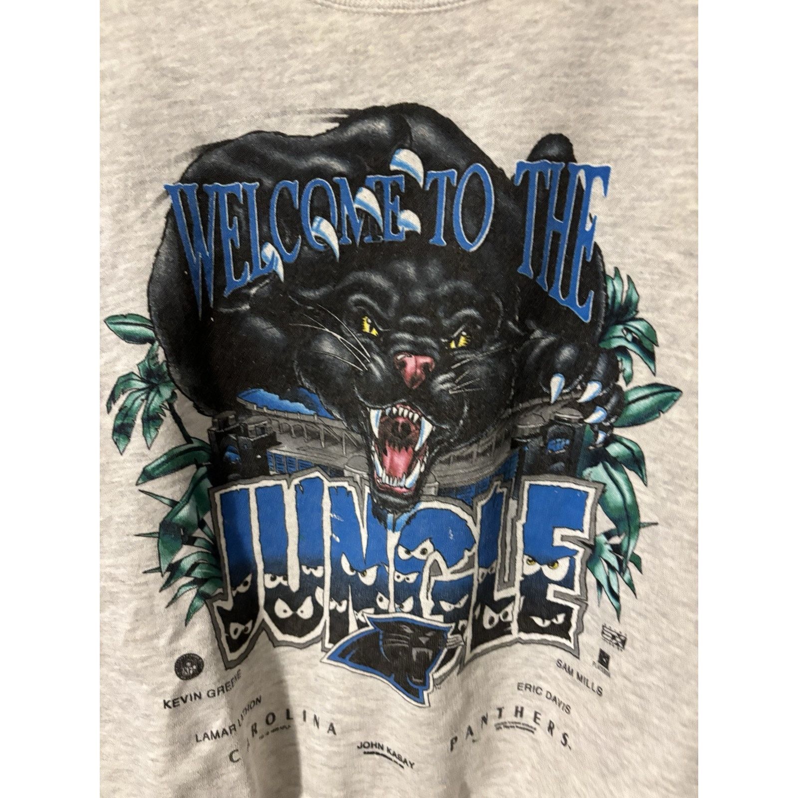 Vintage Carolina Panthers Welcome To The Jungle Sweat 1996 L Size US L / EU 52-54 / 3 - 5 Thumbnail