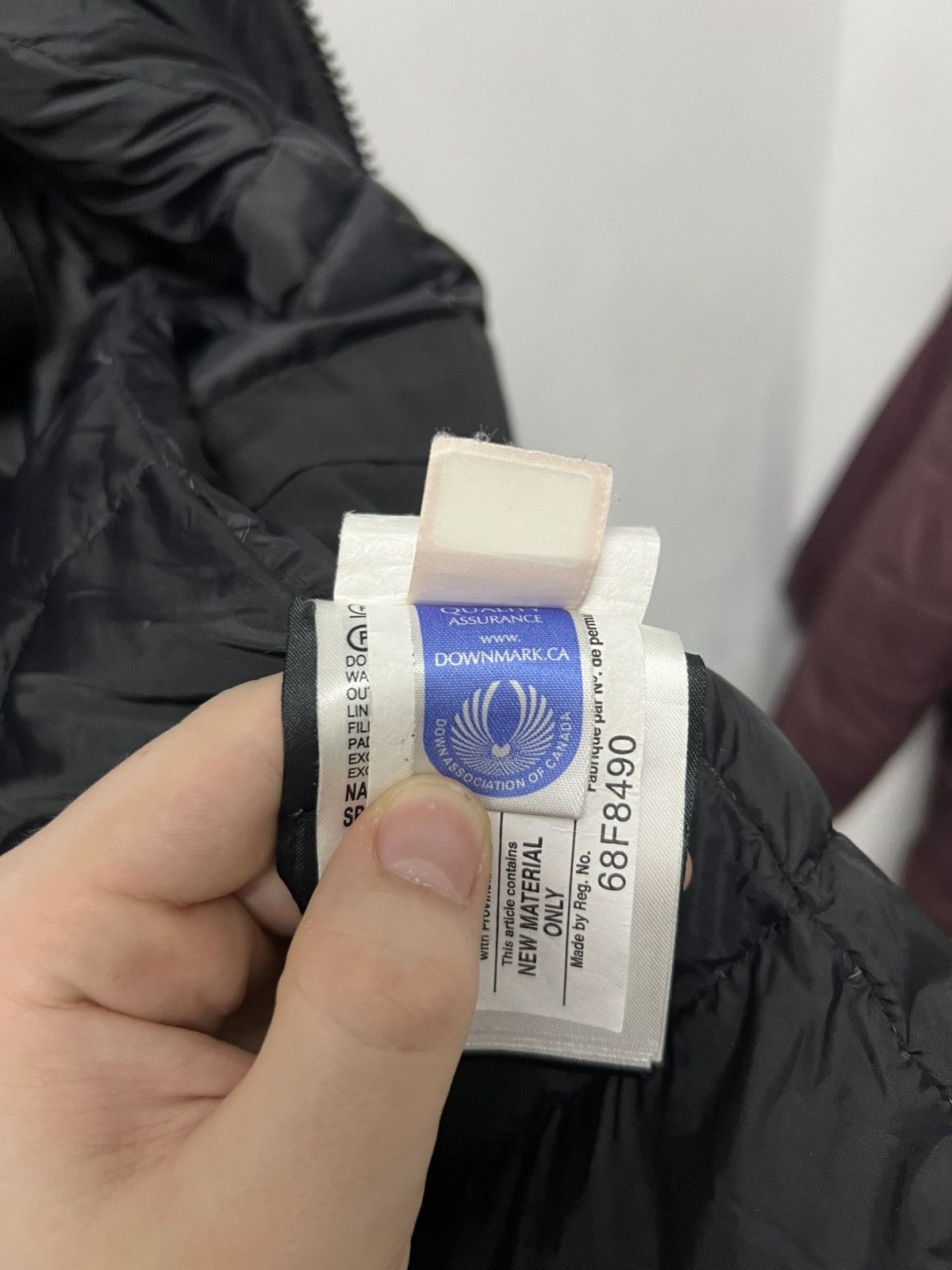 Canada Goose Canada goose puffer jacket Size US S / EU 44-46 / 1 - 12 Thumbnail