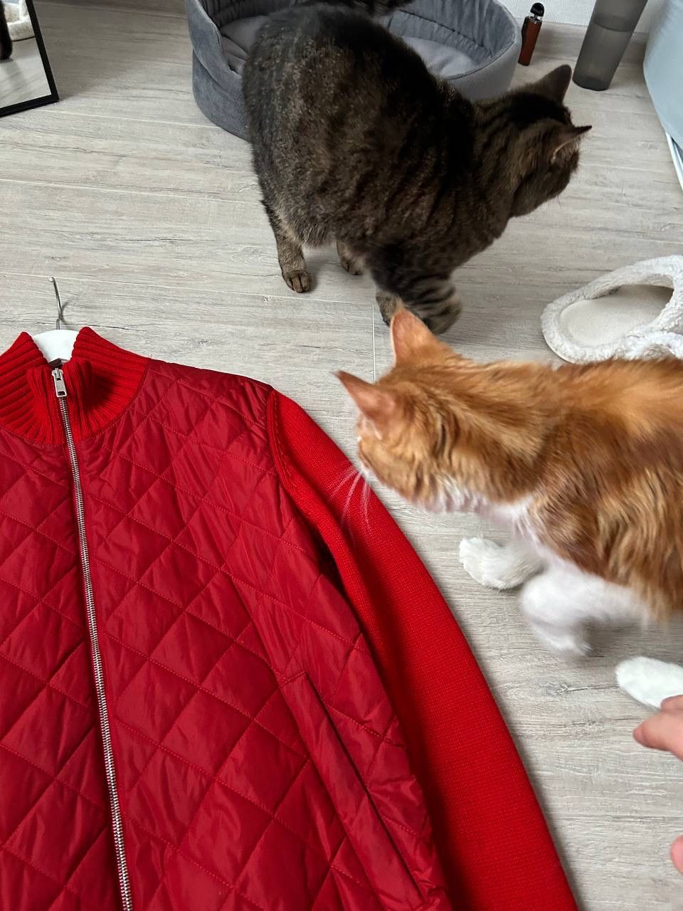 Prada Legendary Prada Milano Quilted Wool Knit Zip Red Jacket Size US M / EU 48-50 / 2 - 12 Thumbnail