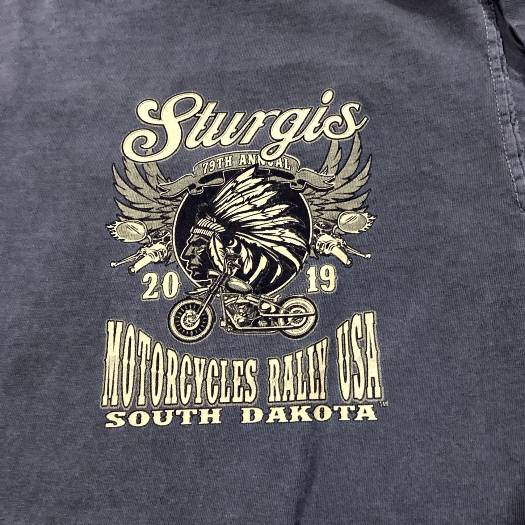 Gildan Sturgis Motorcycle Rally Shirt Mens L Short Sleeve Gray 2019 Rally Native T-Shirt Gildan Mens Green Size US L / EU 52-54 / 3 - 2 Thumbnail
